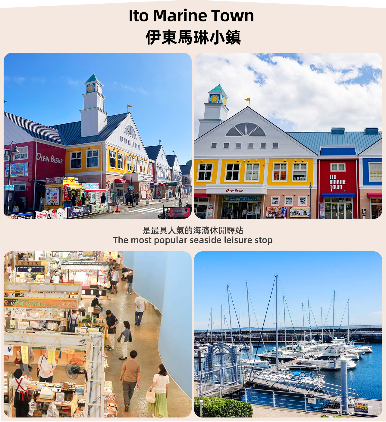 [Izu boutique 4-9 people small group tour] Omuroyama & Cactus Zoo & Sea View Train Resort 21 & Jogasaki Coast & Kadowaki Suspension Bridge & Ito Marin Town Day Tour (Depart from Tokyo)