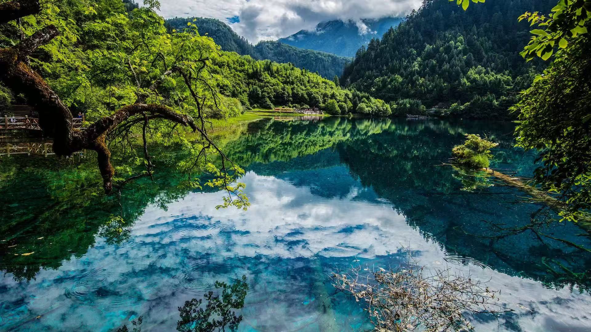 Aba Jiuzhaigou National Park Small Group Day Tour