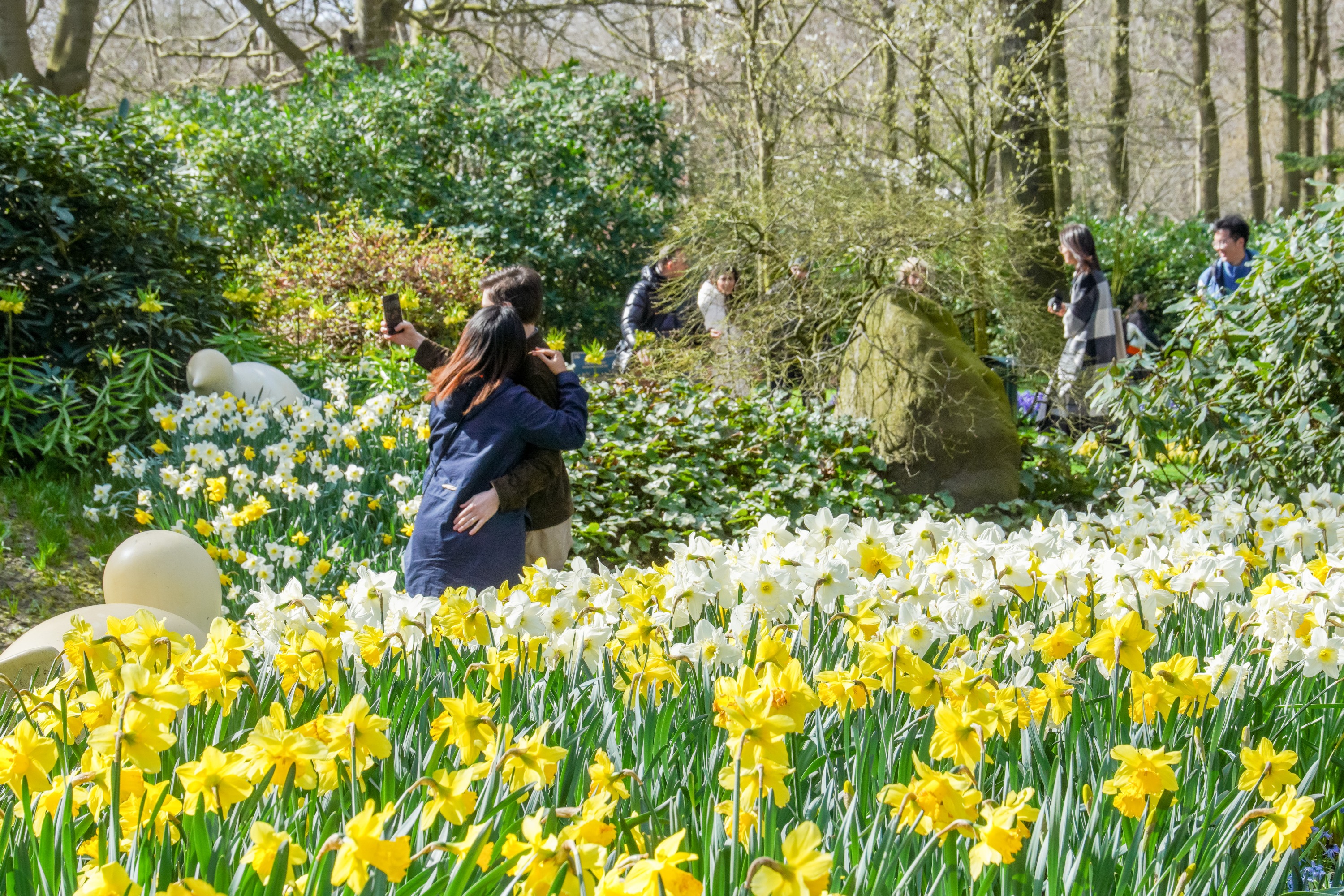 Keukenhof Tours with Countryside and Cruise Options