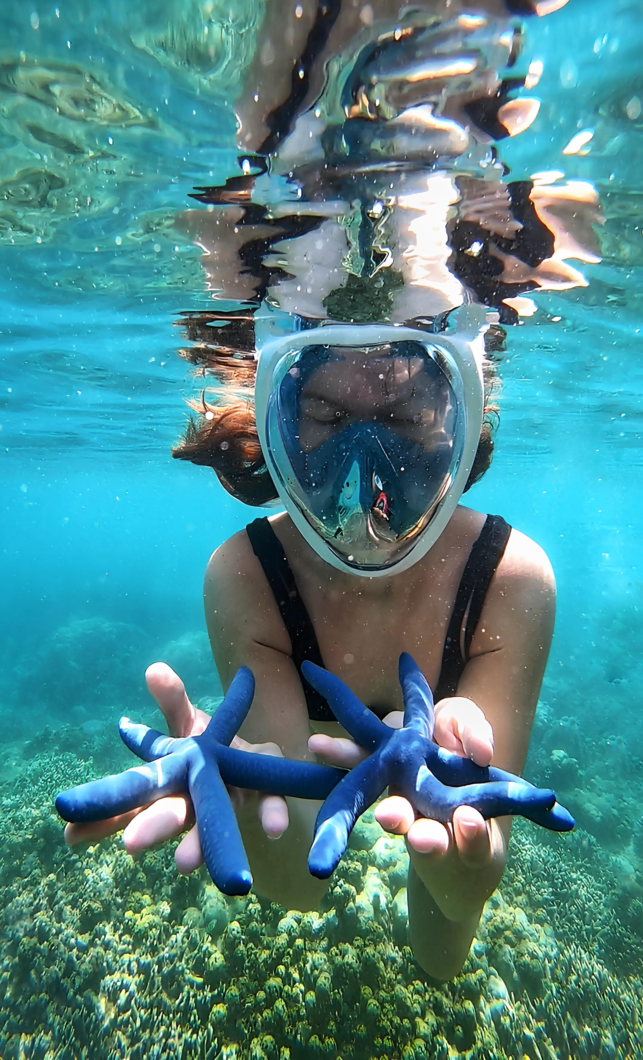 龍目島秘密島嶼私人浮潛之旅（含GoPro）