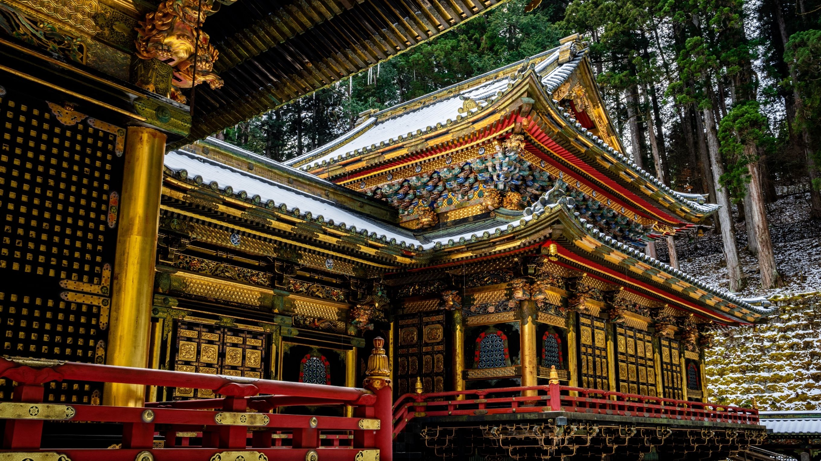 獨一無二的森林神社——日光東照宮既宏偉又隱秘，是神聖信仰的融合，周圍環繞著靜謐和數百年的虔誠。