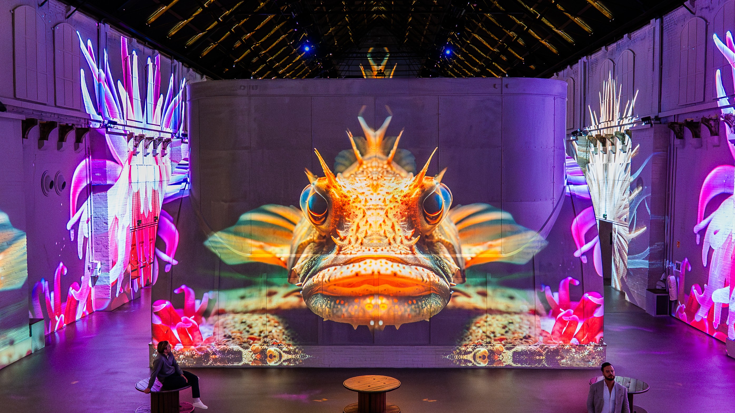 Sea creatures float overhead as calming ocean sounds fill the space