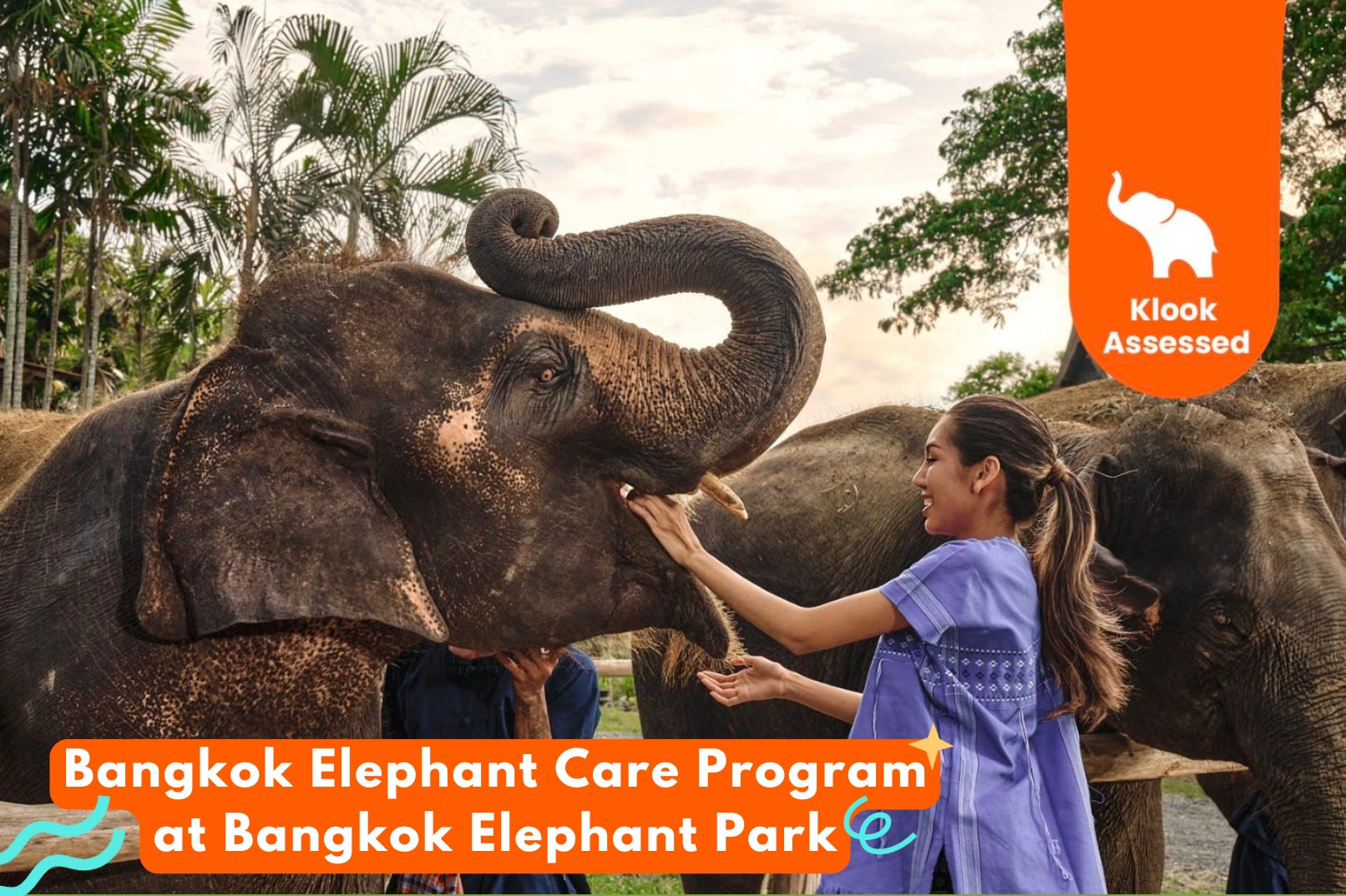 Bangkok Elephant Care Program at Bangkok Elephant Park