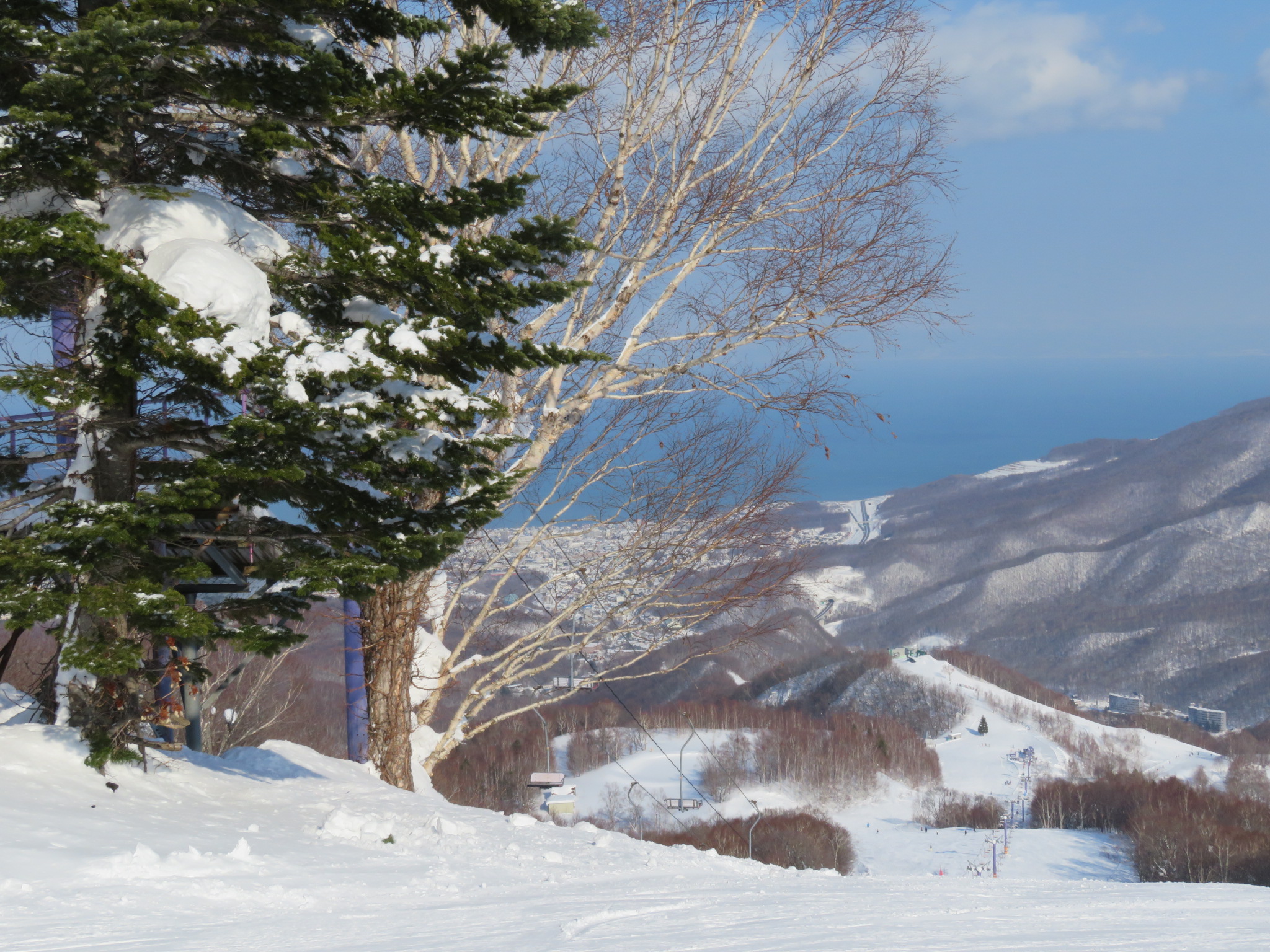 從滑雪場搭乘巴士或開車前往小樽市也只需20分鐘，滑雪後還能盡情享受小樽的溫泉、美食和觀光！