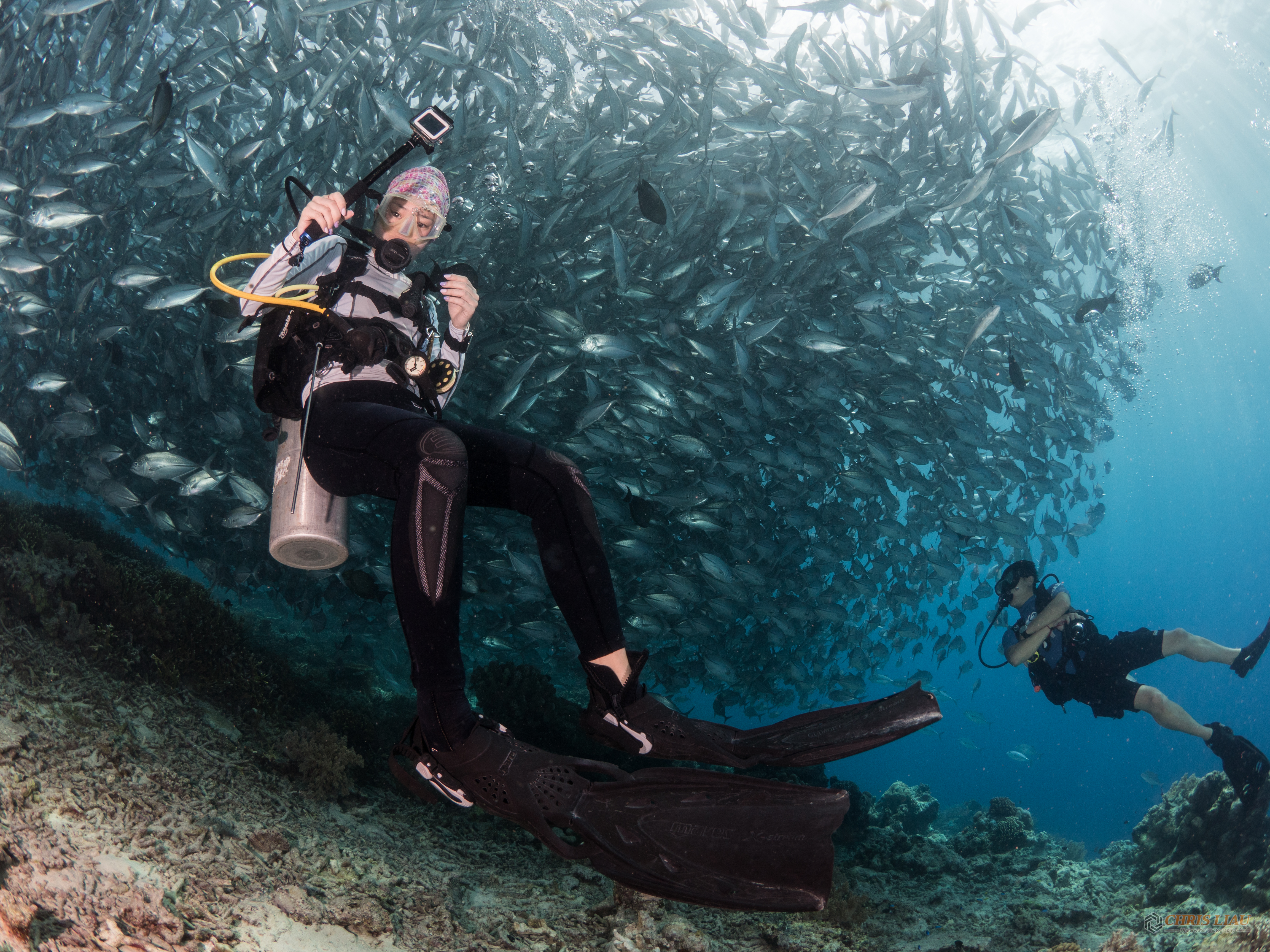 ファンダイブ日帰りツアー（シパダン島 / PADI 5 Star Dive Center提供）