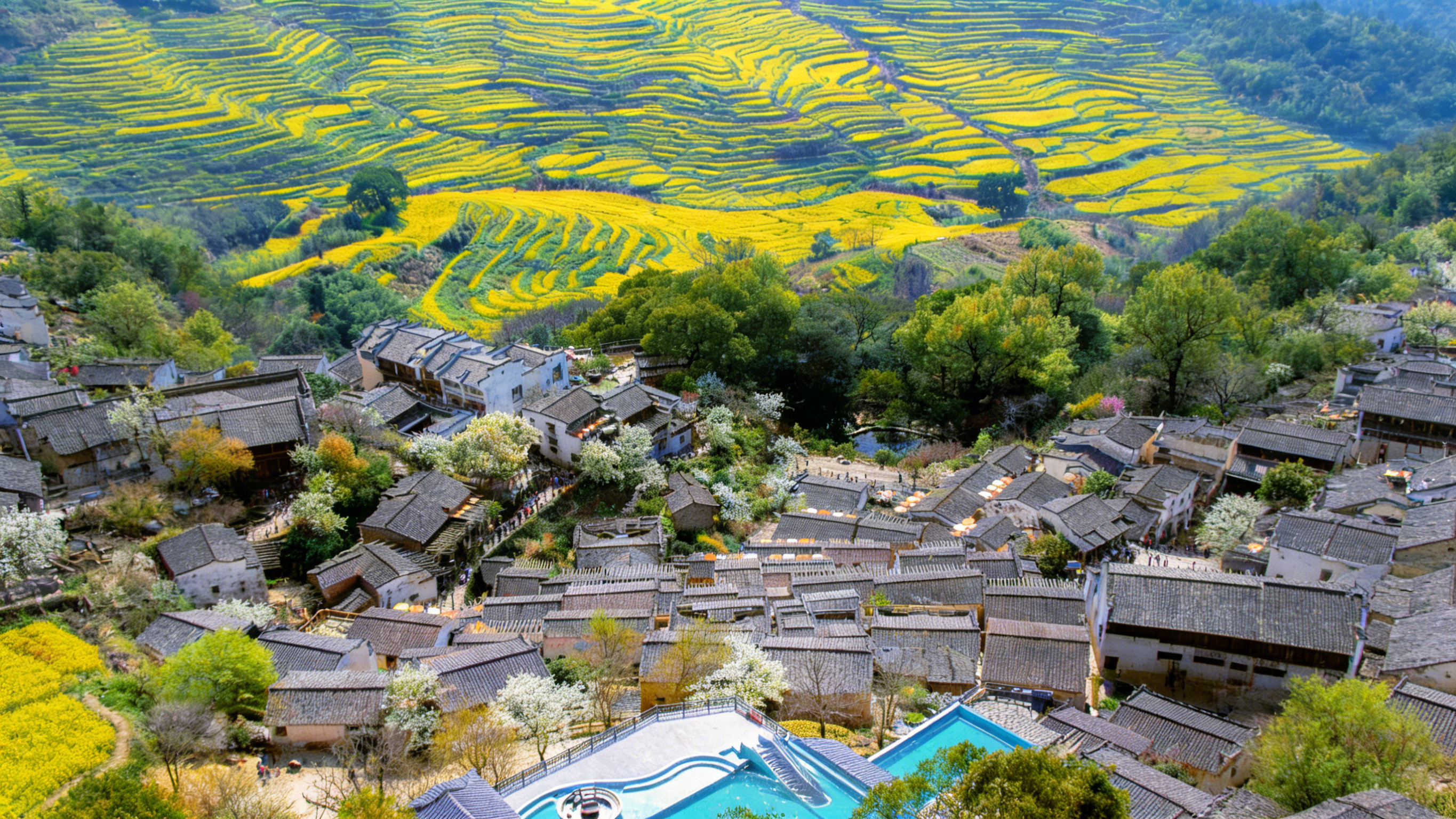 Shangrao Wangxian Valley + Wuyuan (Rapeseed Flowers in March-April) 1-Day Tour