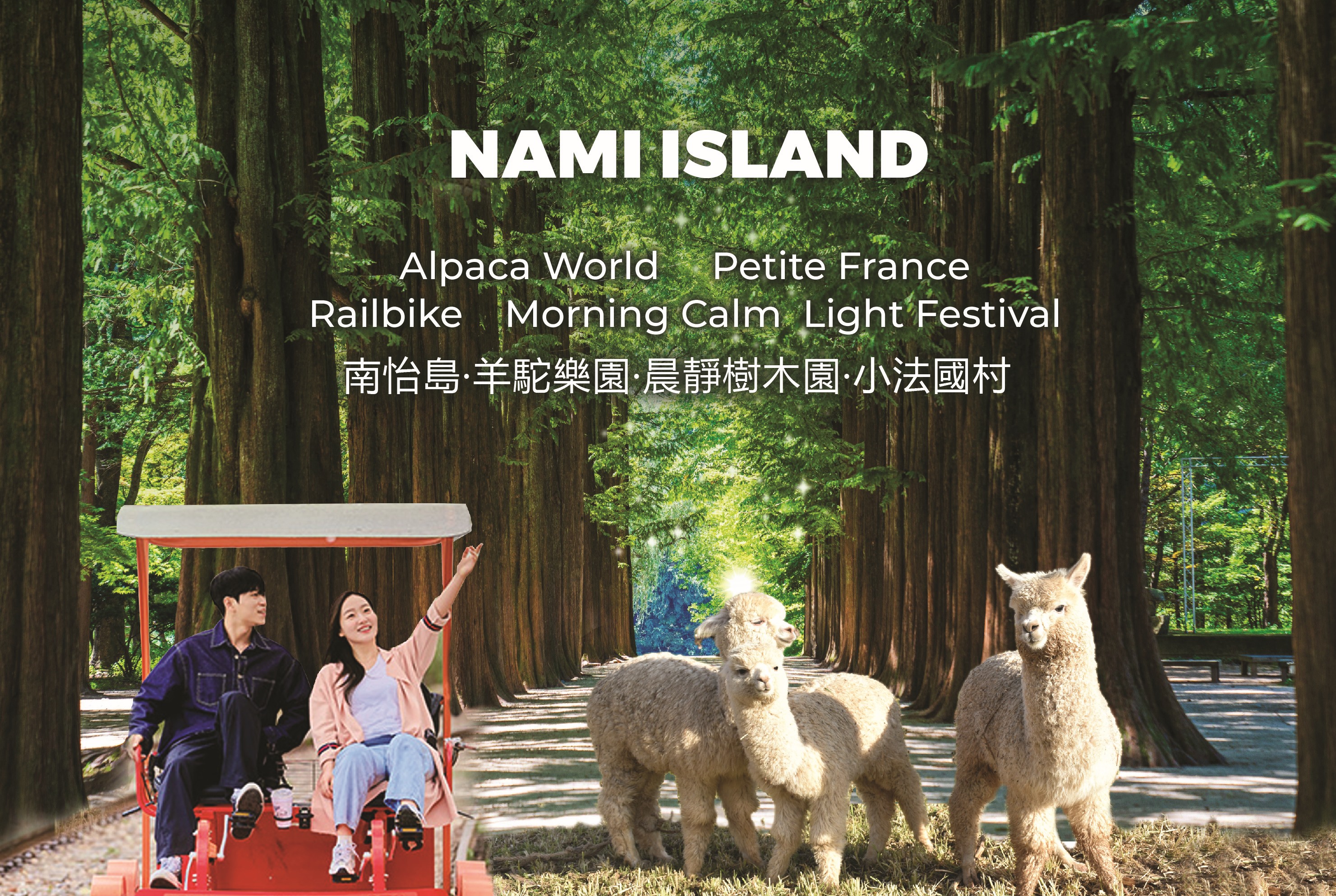 Nami Island &amp; Eobi Ice Valley &amp; Morning Calm &amp; Alpaca&amp; Seorak Frozen