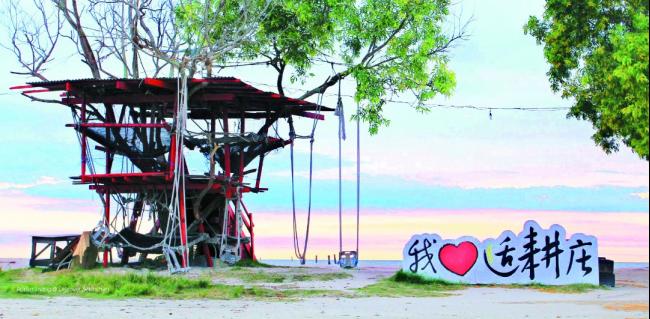 Malaysia Sky Mirror + Selangor + Fireflies + Blue Tears + Eagle + Silver Leaf Monkey Day Tour