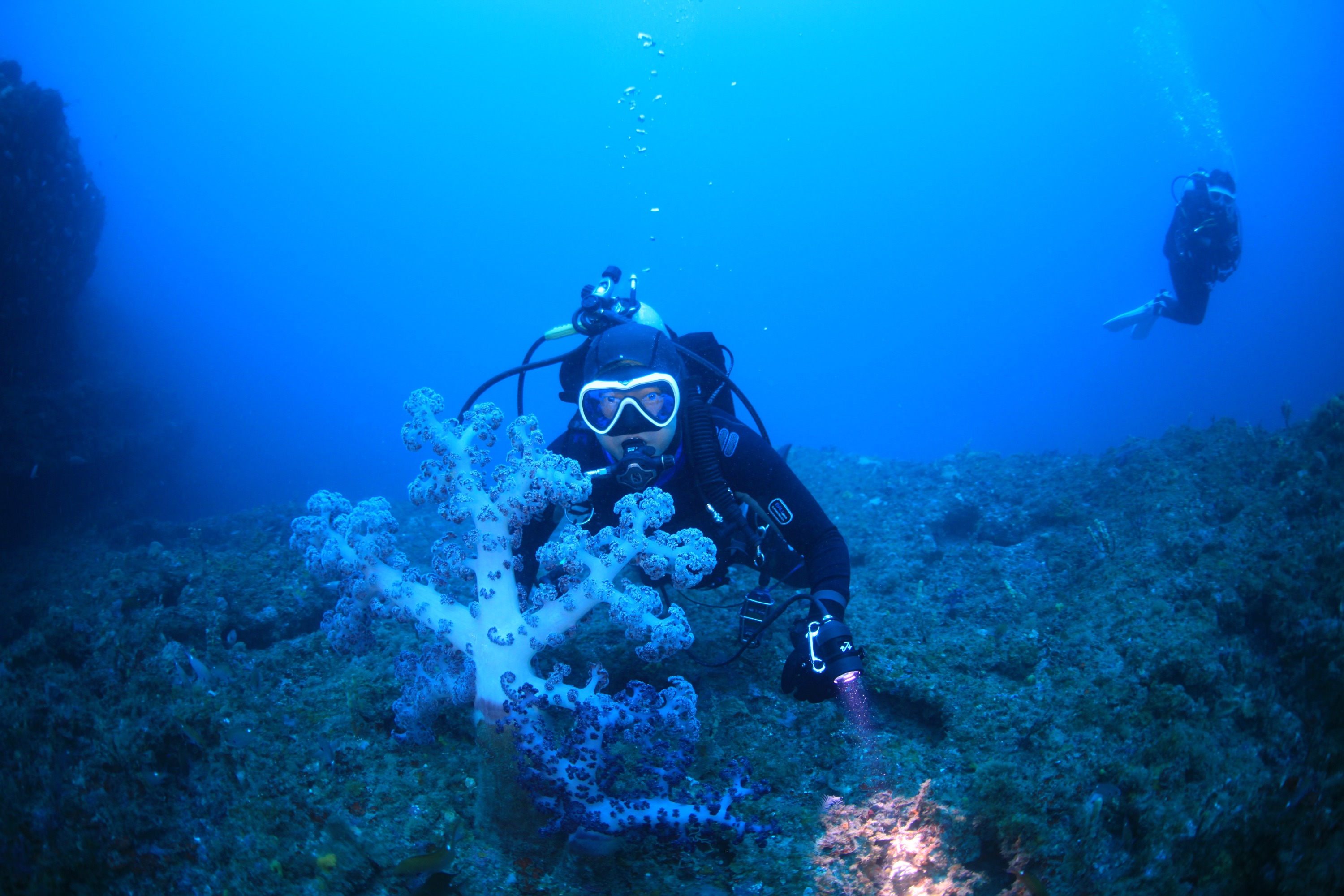 濟州島以其美麗的大海和海灘而聞名。 來體驗與這片自然饋贈更深層次的交流吧。