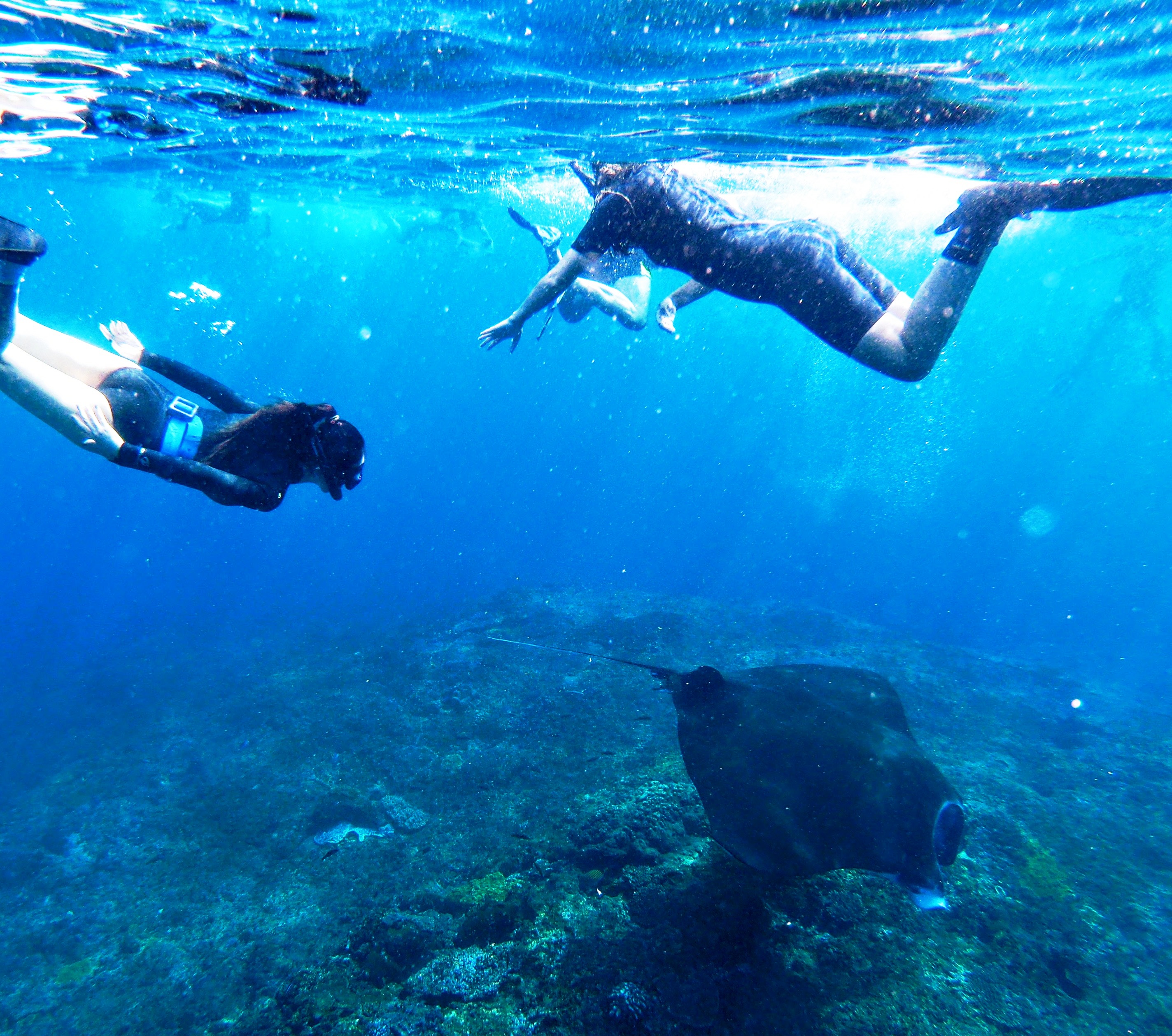 佩尼達島Manta Point潛水體驗（PADI五星級潛水中心）