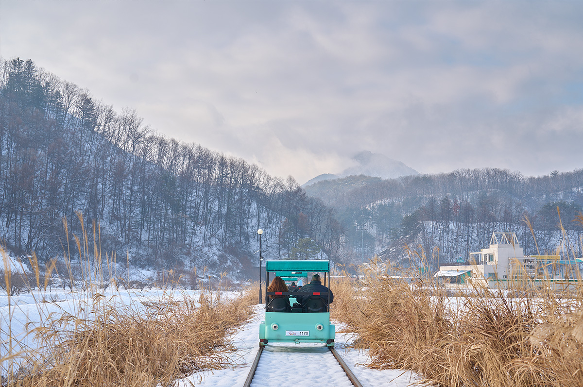 下坡路段騎行順暢，可欣賞到綠色的山脈、波光粼粼的河流和迷人的鄉村風光