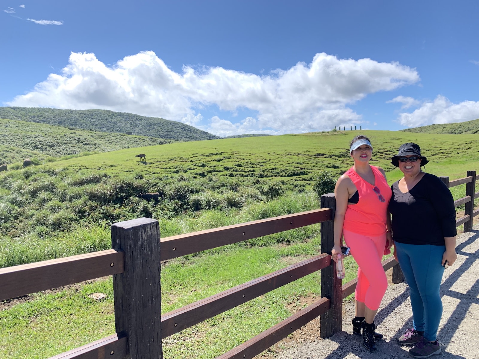 Yangmingshan National Park - Qingtiangang Grassland