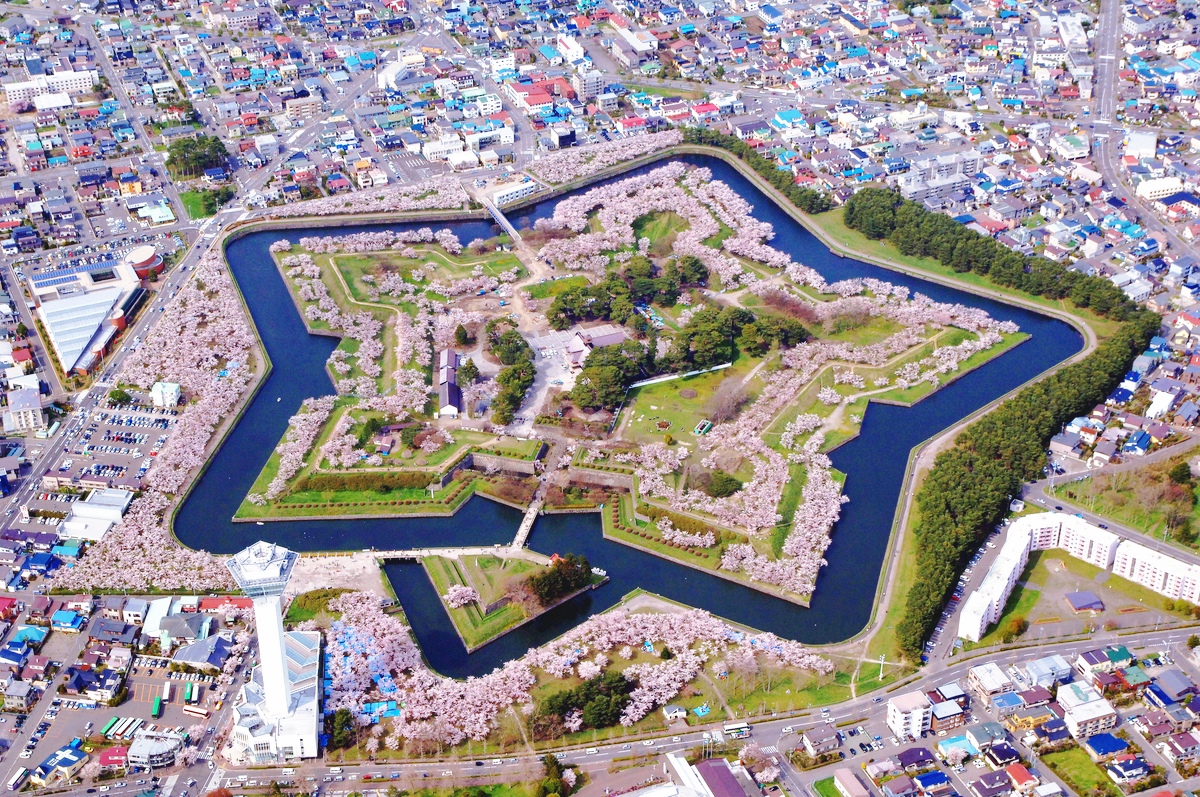 北海道函館出發❘五稜郭，松前城& 海鷗島暢玩函館1日遊