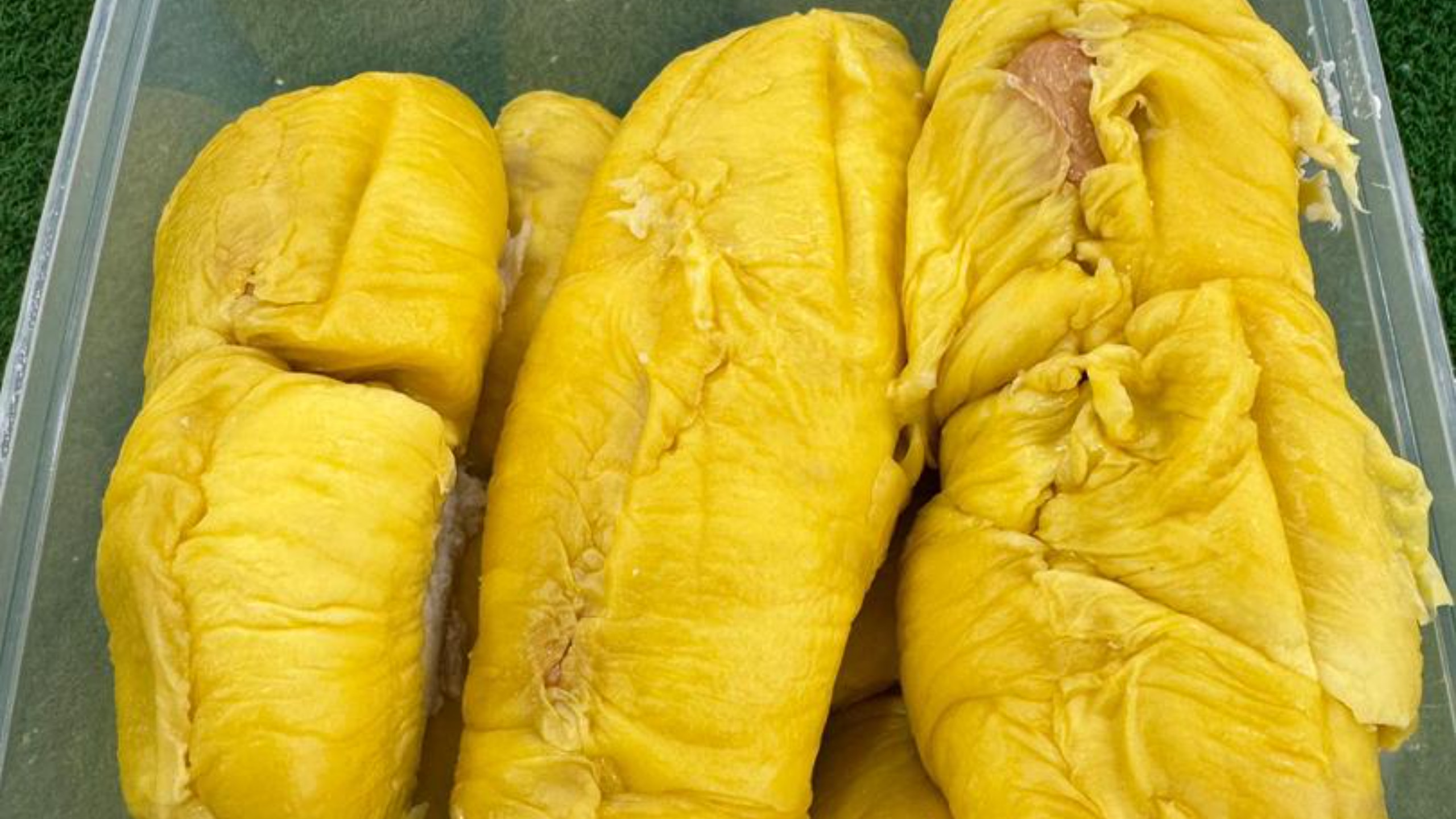 Old Tree Musang King Durian at 333 Durian Johor Bahru