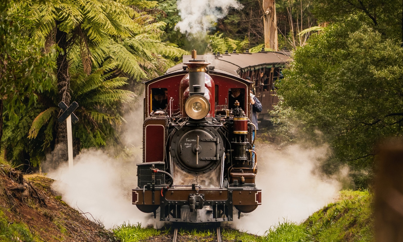 搭乘火車穿越綠意盎然的森林，呼吸清新空氣，享受一趟寧靜的旅程。