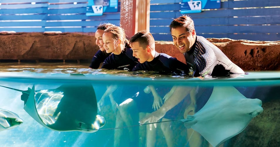 佛羅里達水族館免排隊門票