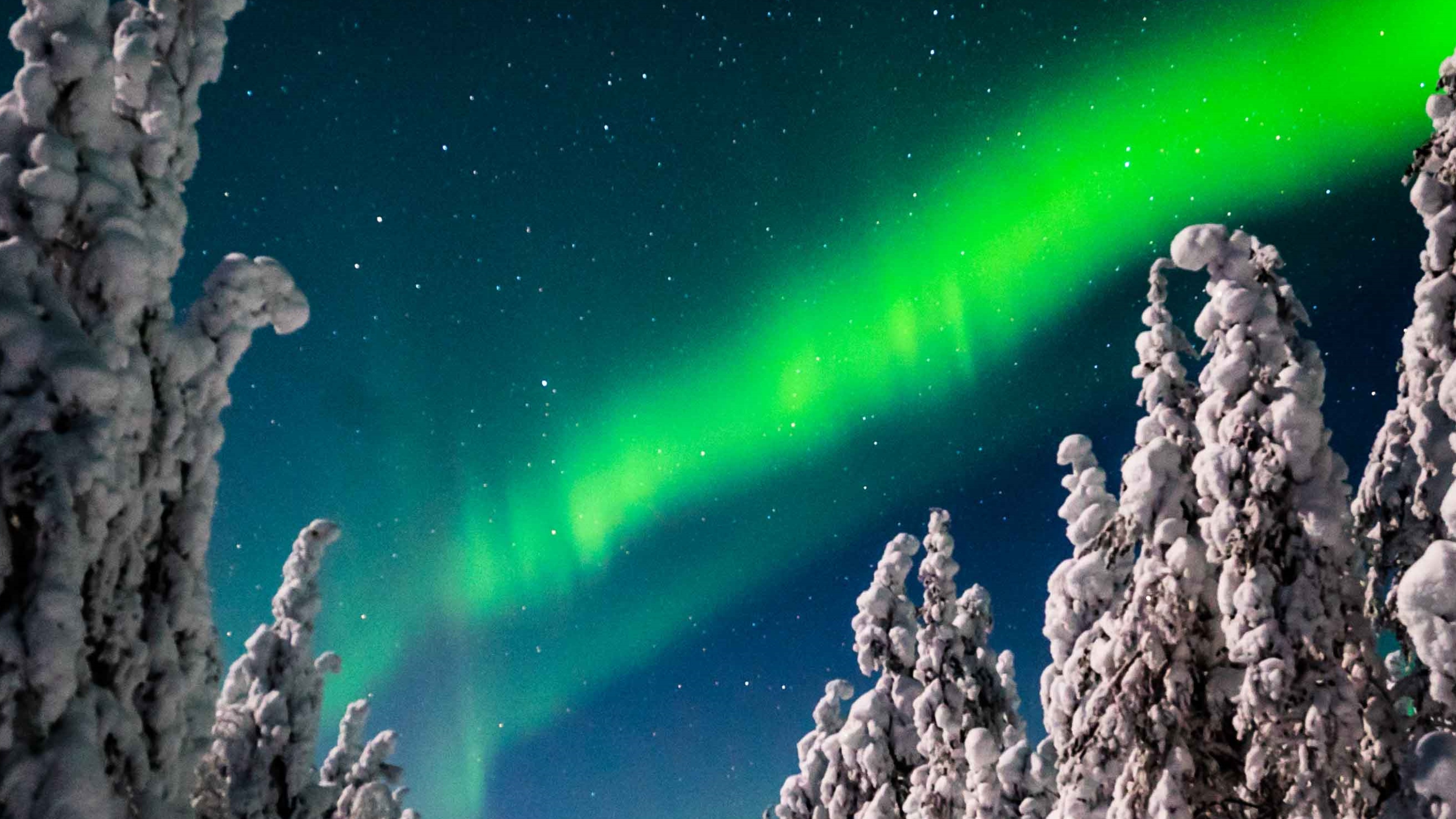 探索羅瓦涅米 (Rovaniemi) 北極光之旅