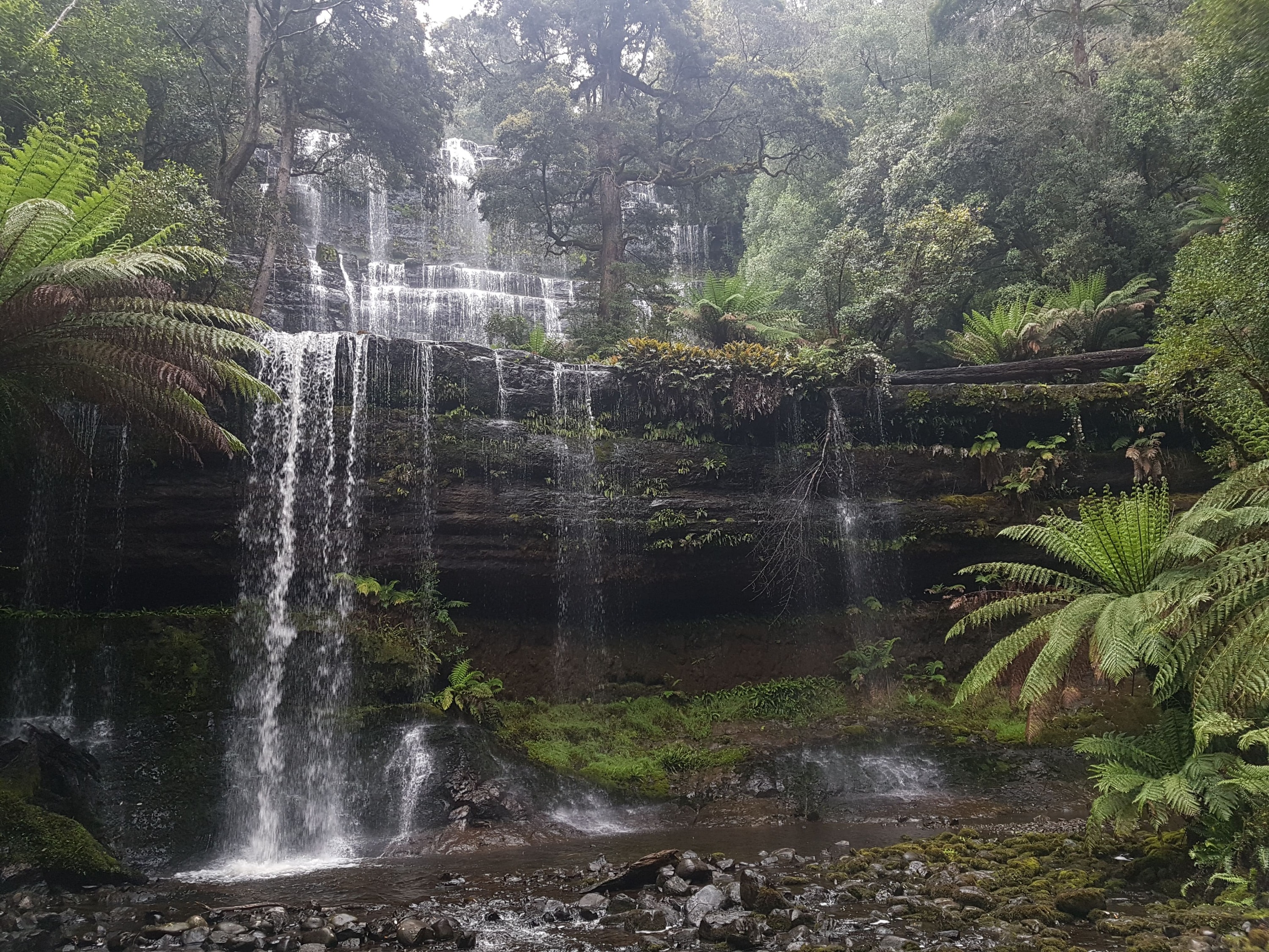 2 Day Cradle Mountain Tour