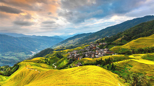 Longji Rice Terraces