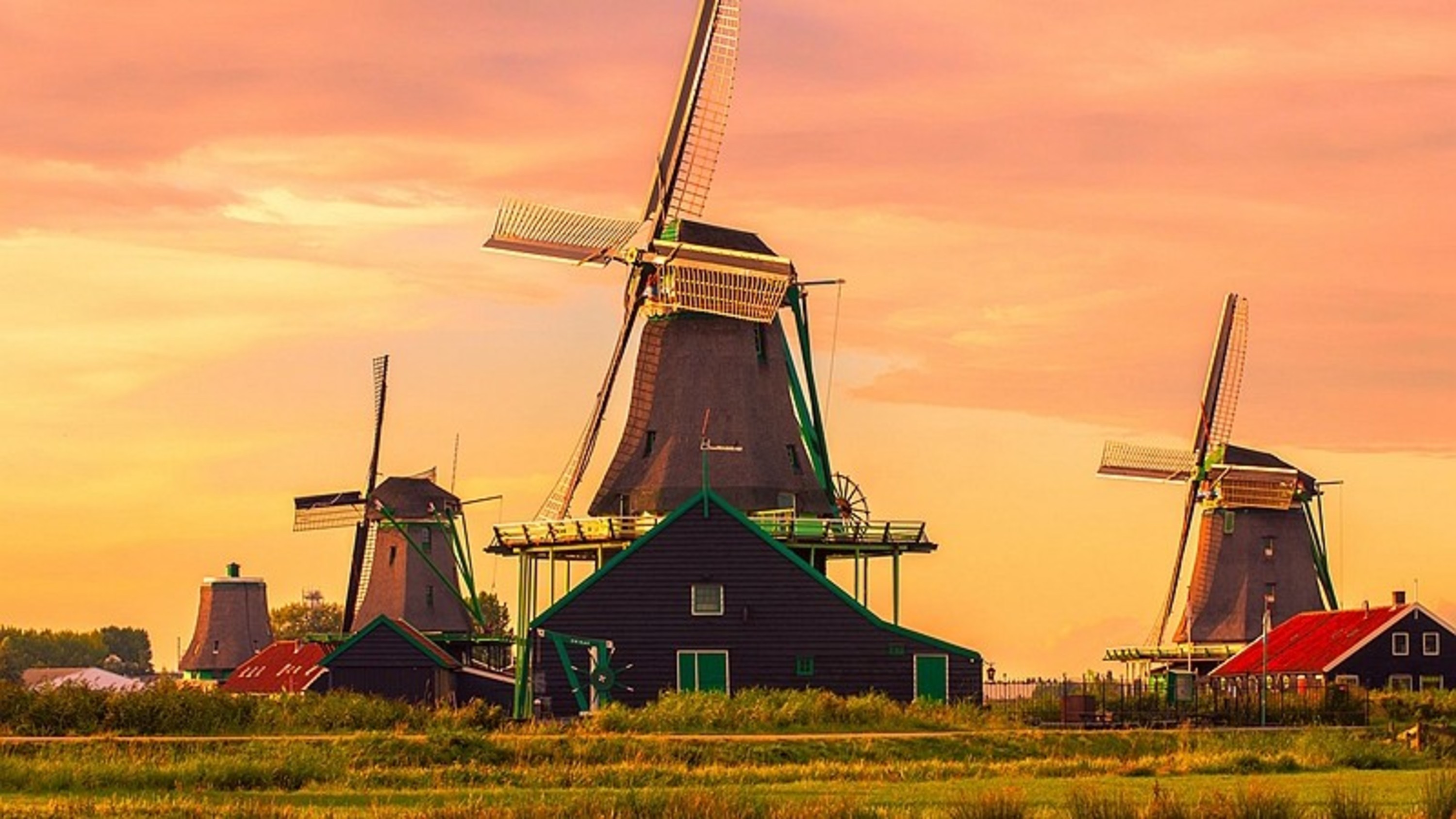 Zaanse Schans, Afsluitdijk & Giethoorn day tour from Amsterdam