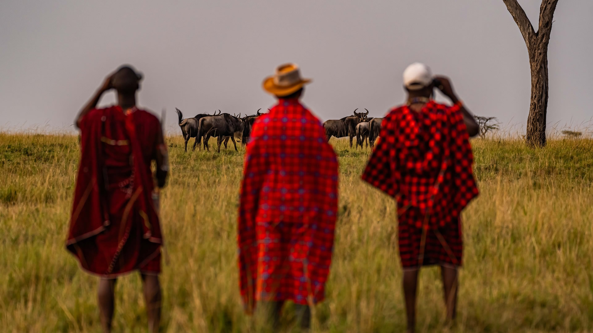 7-Day Kenya Safari: Masai Mara, Amboseli & Scenic Lakes