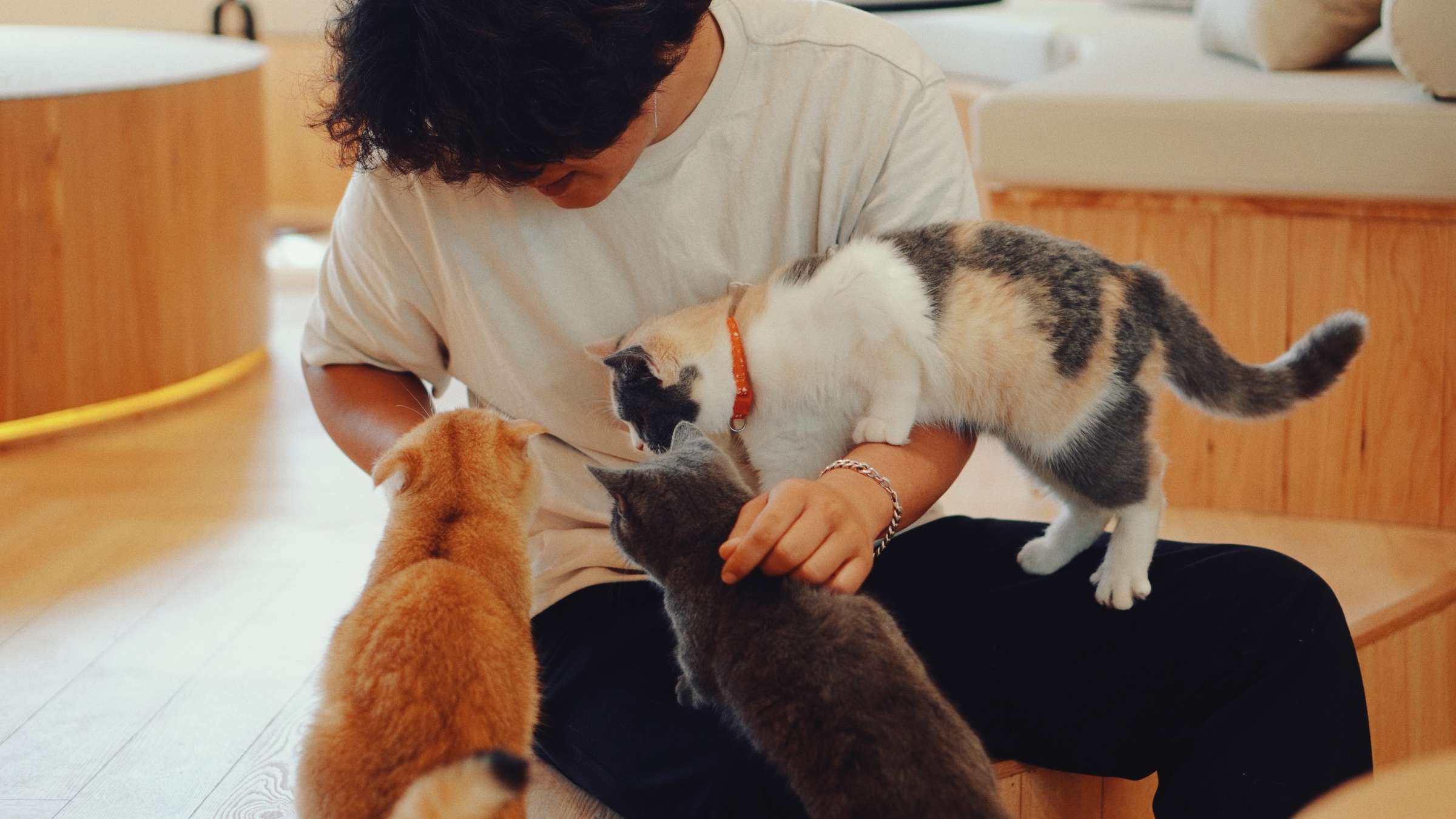 大叻 Pawsome Haven 門票