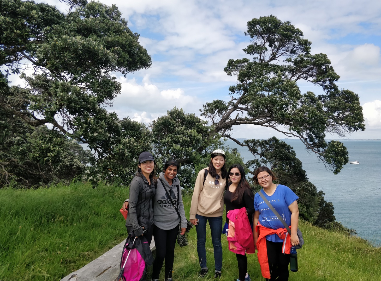 Guided Walking Tours on Waiheke Island	