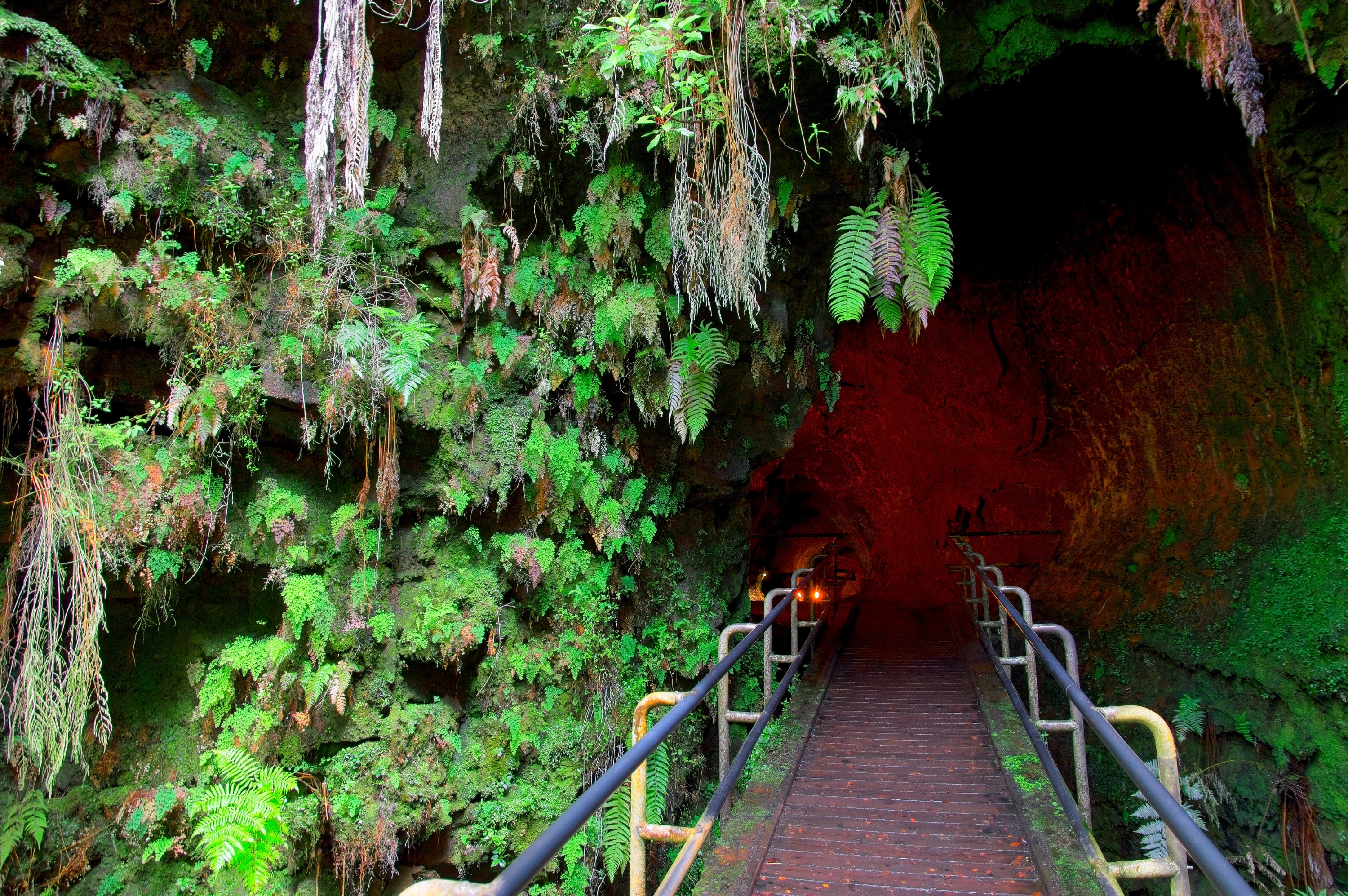 Nahuku (Thurston Lava Tube)