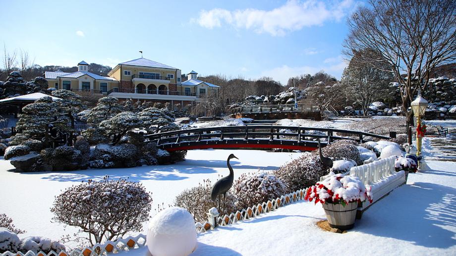 首爾世宗國立植物園 & 清涼臺阿爾卑斯村一日遊