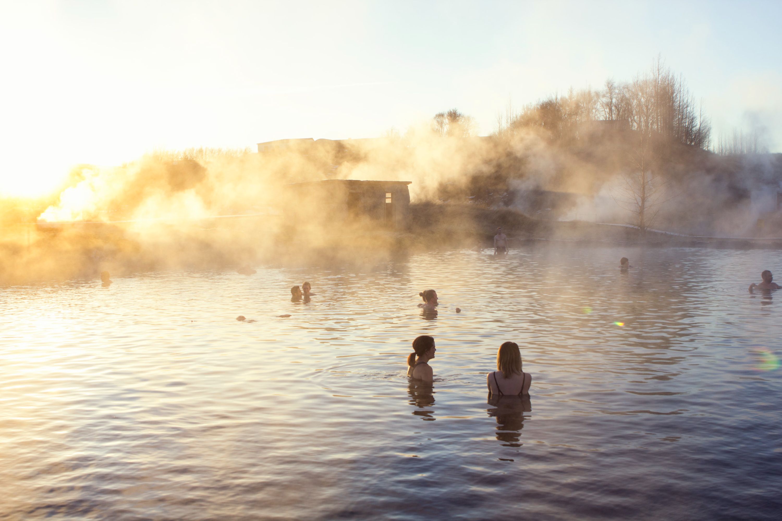 Golden Circle, Fridheimar, and Secret Lagoon Tour from Reykjavik