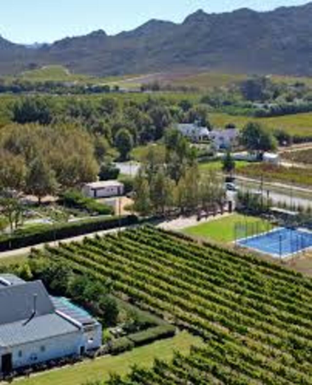 Stellenbosch Sunrise Adventure & Padel Tour