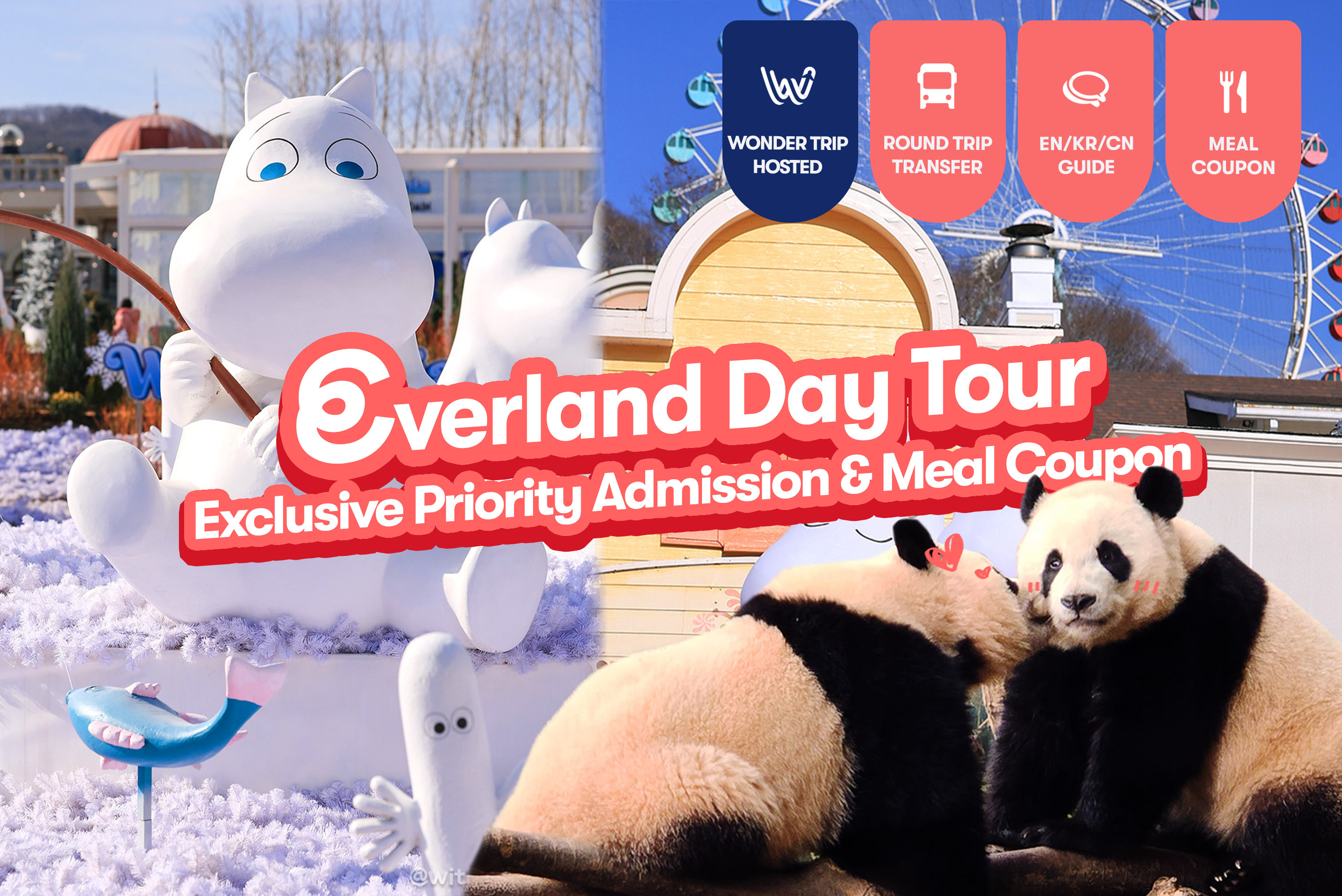 Everland Transfer + Admission ticket with Meal Coupon