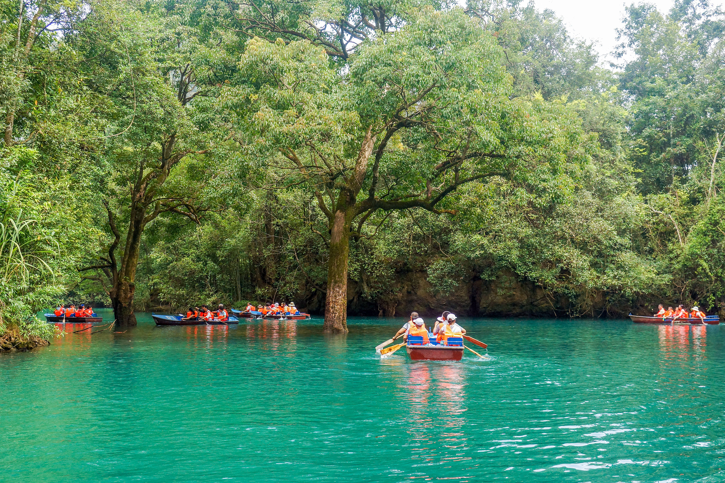 荔波小七孔水上森林：罕見岩溶地貌，水中有石，石上有樹，樹植水中，可赤腳穿行，清涼避暑。