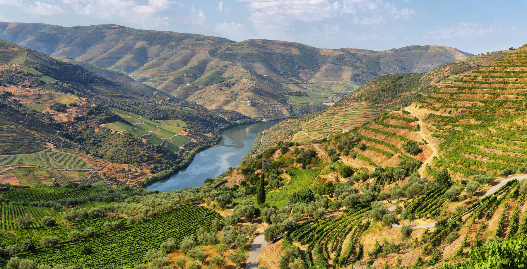 Day Trip to Douro Valley from Porto