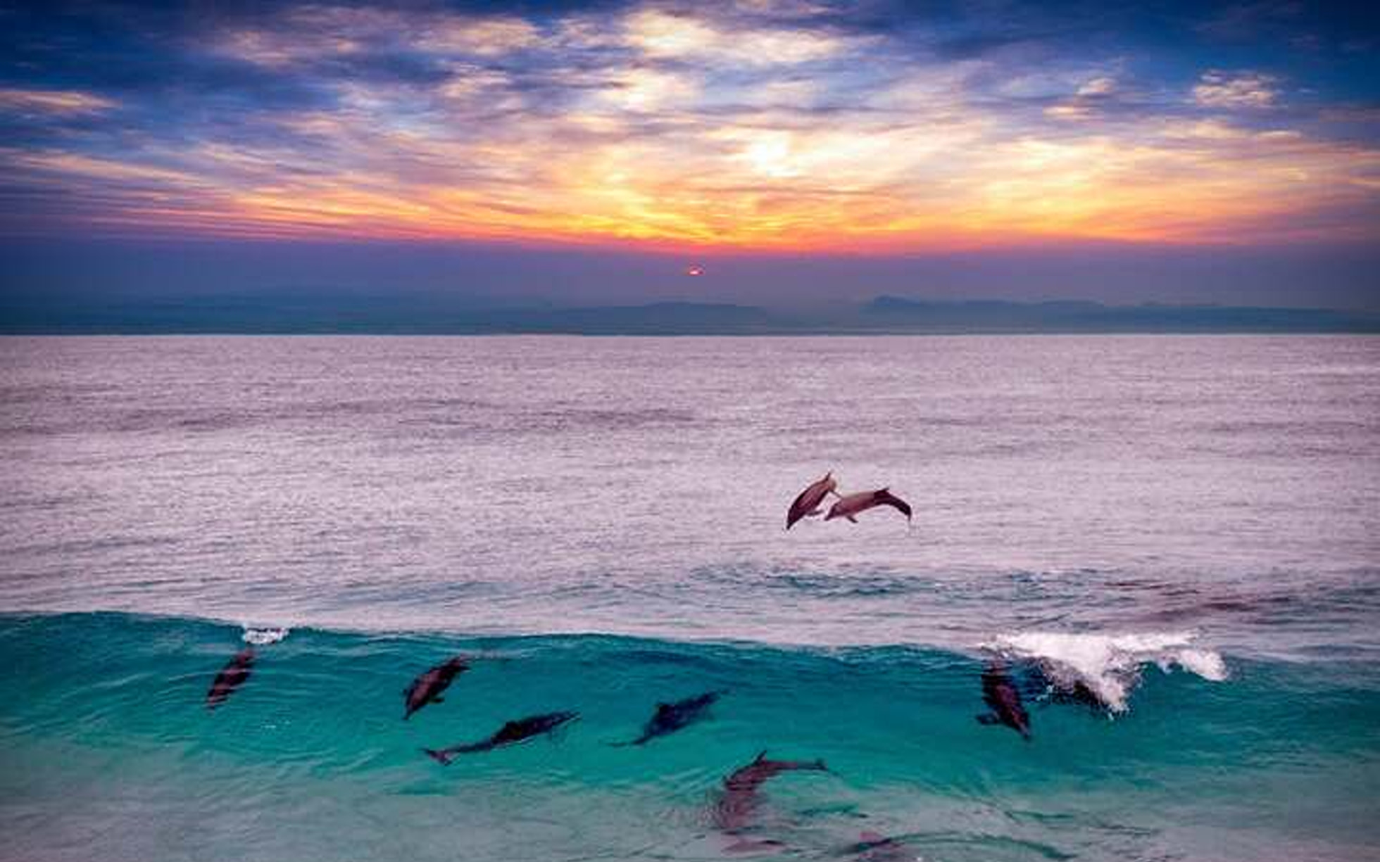 2-Day Sataya Dolphin House Diving Cruise from Port Ghalib