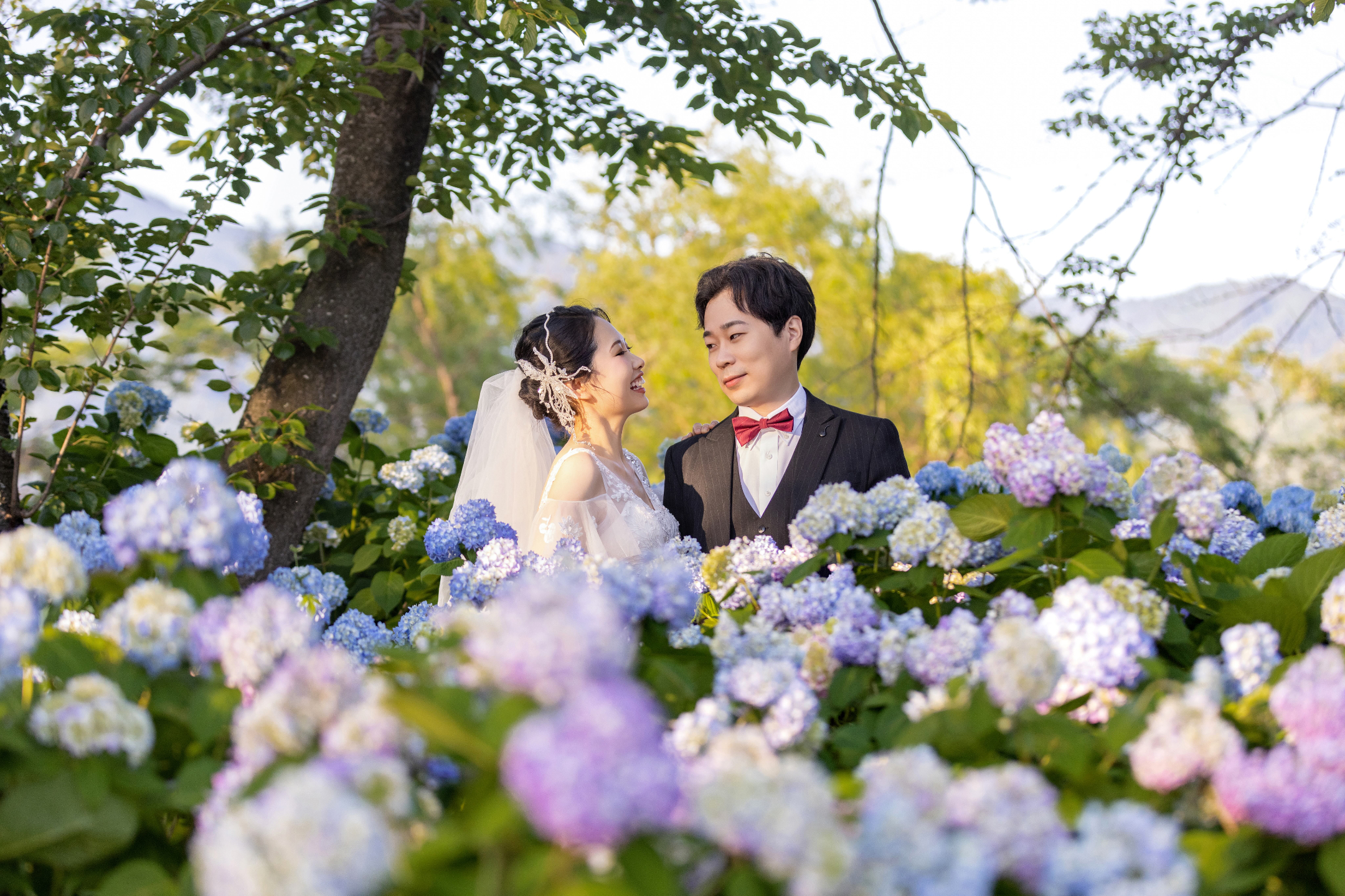 山中諏訪神社（Yamanaka Suwa Shrine）（需要攝影許可） - 歷史悠久的湖畔神社，提供以富士為主題的文化和精神肖像