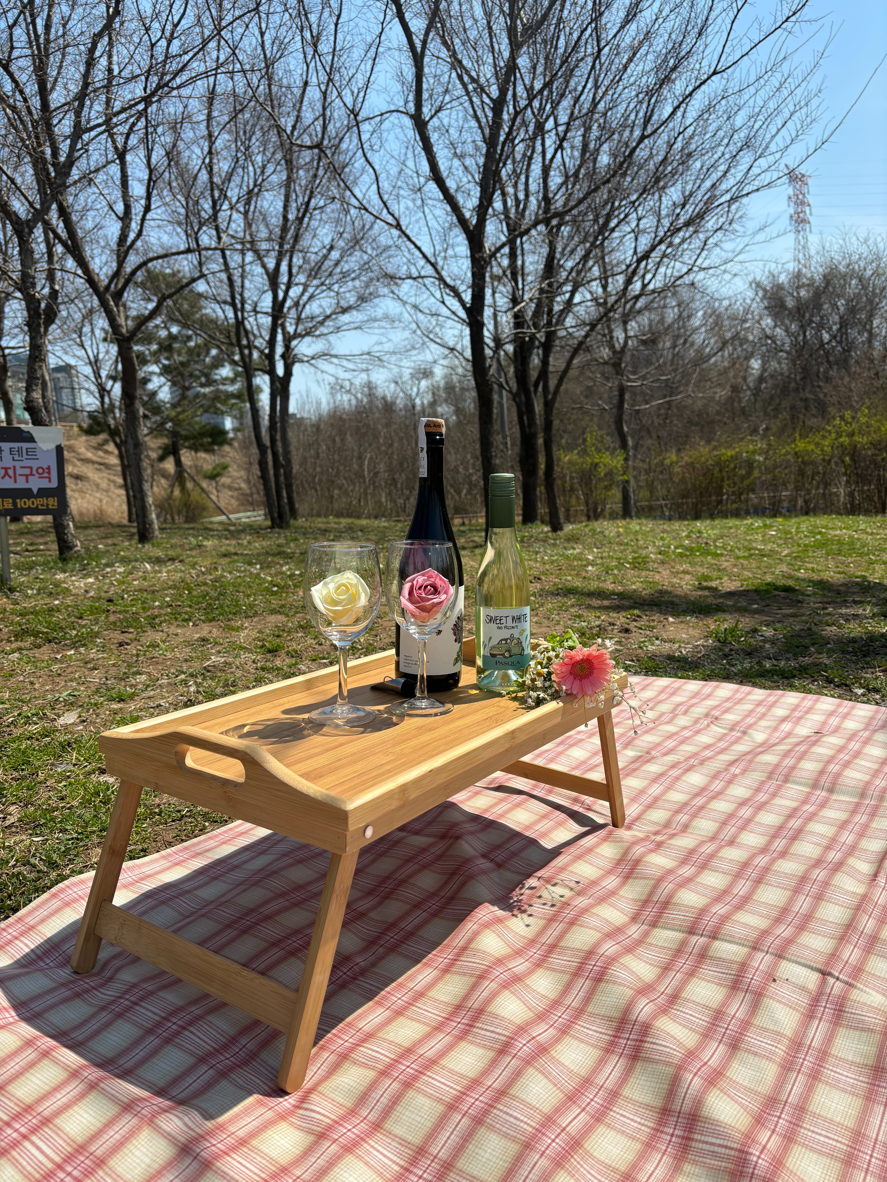 Picnic Equipment Rental Service at Han River in Seoul (Mangwon)