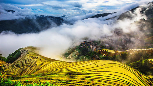 Longji Rice Terraces