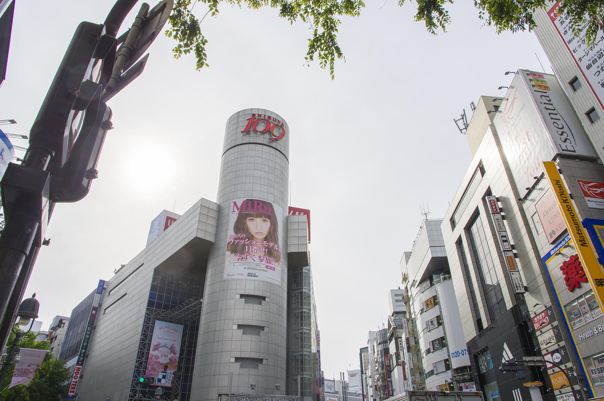 Half-Day Private Tour in New Shibuya