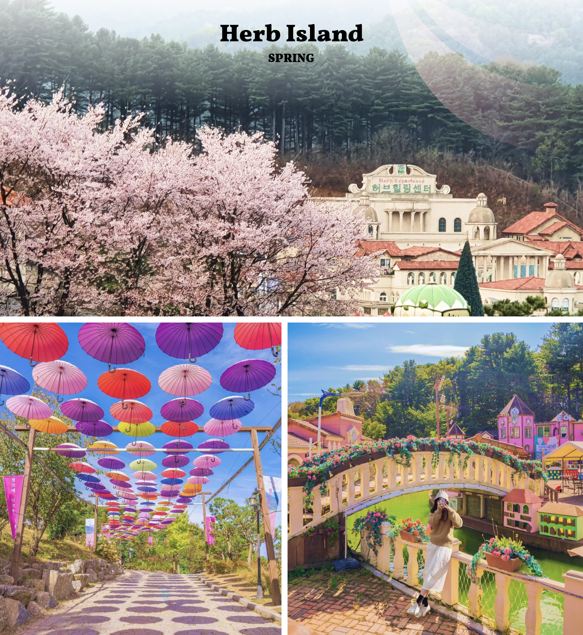 抱川 & 首爾出發的季節性熱門景點一日遊