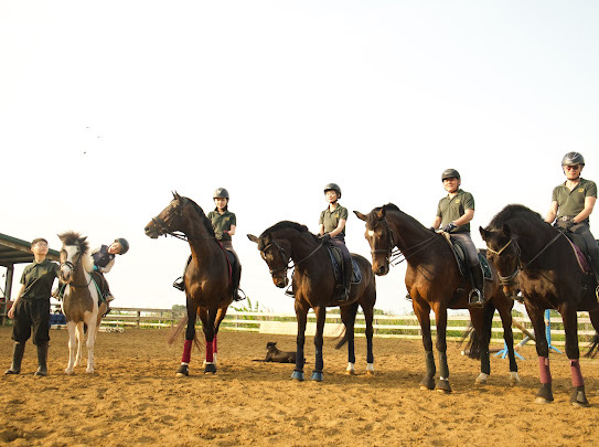 Equestrian Experience in New Taipei