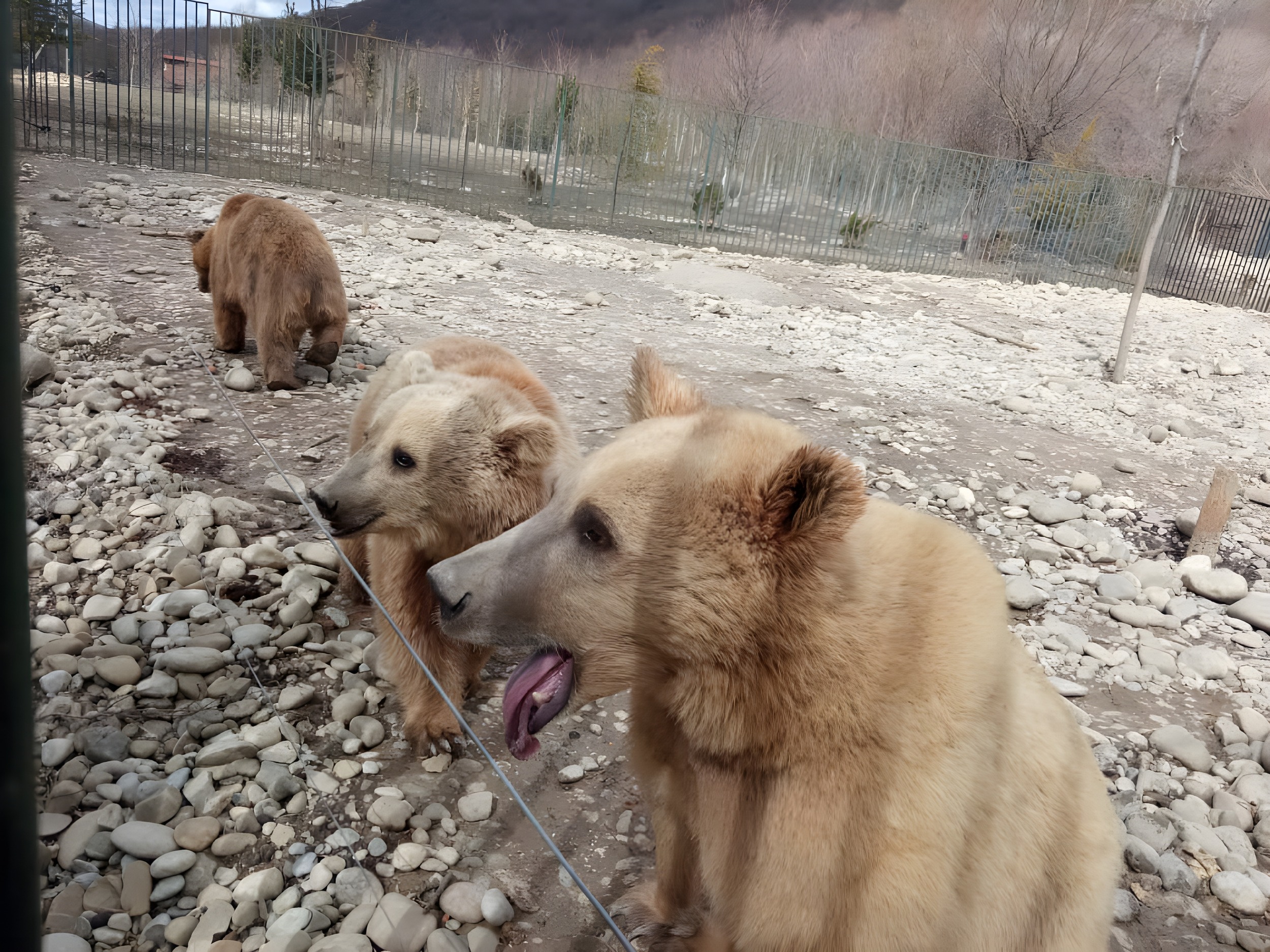 Sabaduri forest day tour