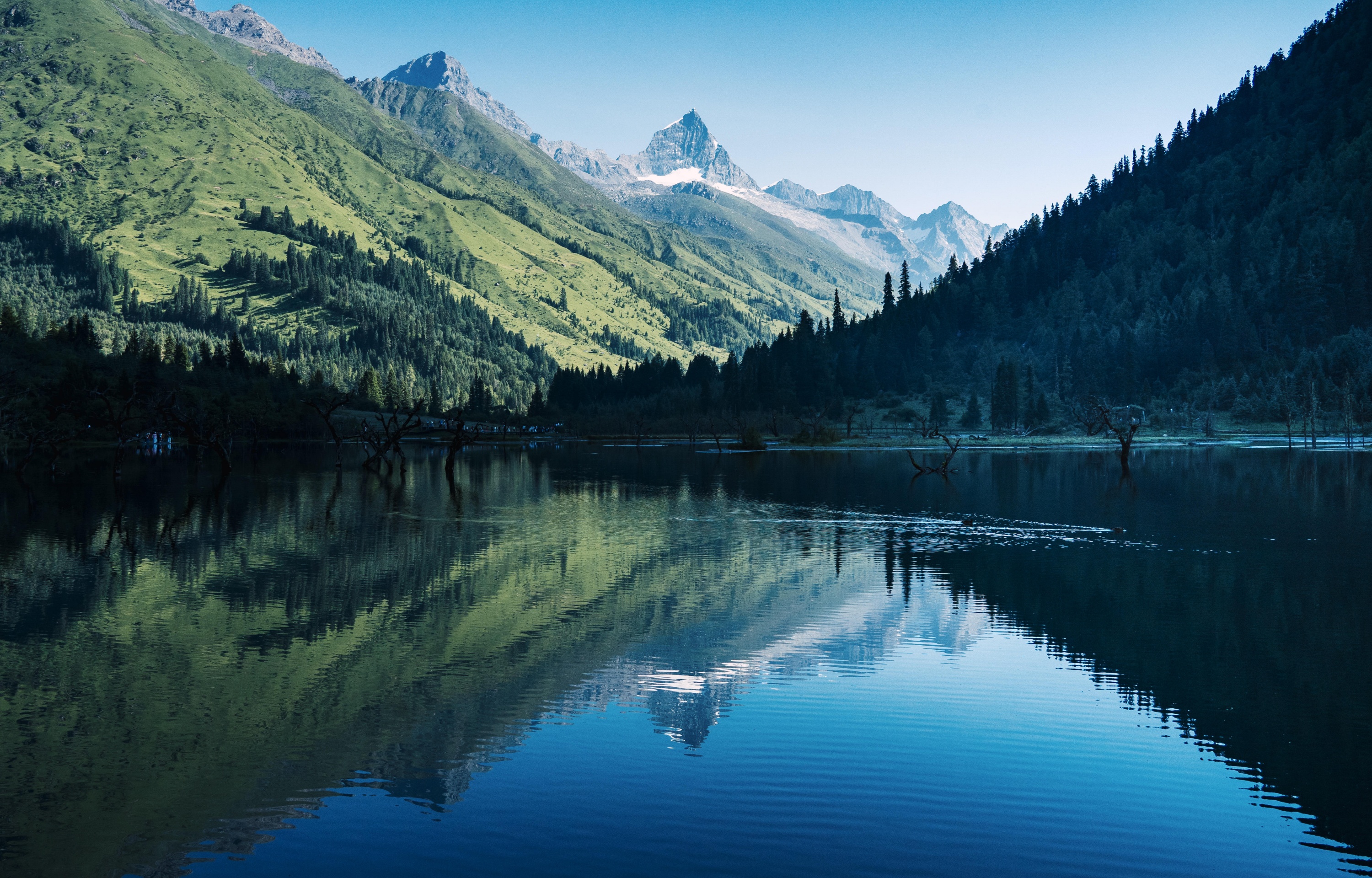 雪山、草甸、村莊......是令人神往的“光與影的世界”，這彷彿是進去了宮崎駿動漫裡的場景。