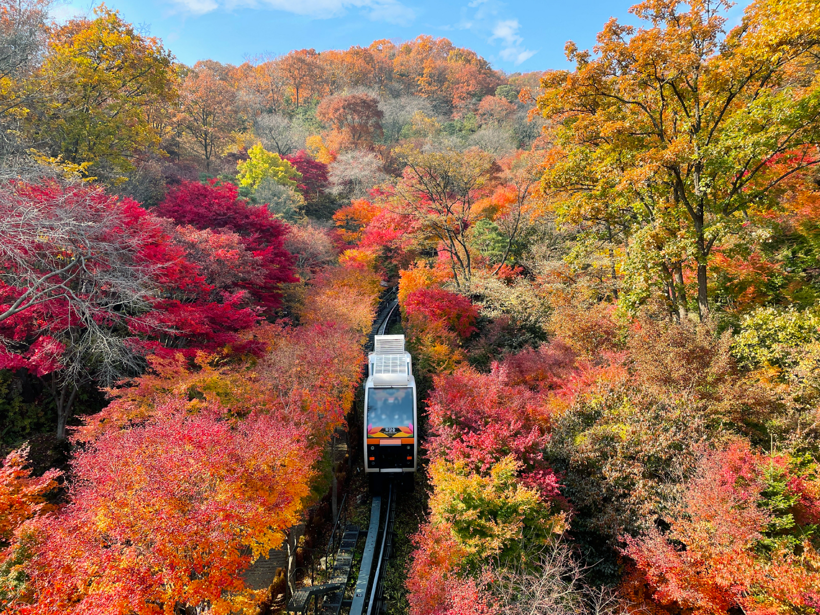四季皆美——從櫻花到秋葉，和談林（Hwadamsup）全年提供令人驚歎的美景。