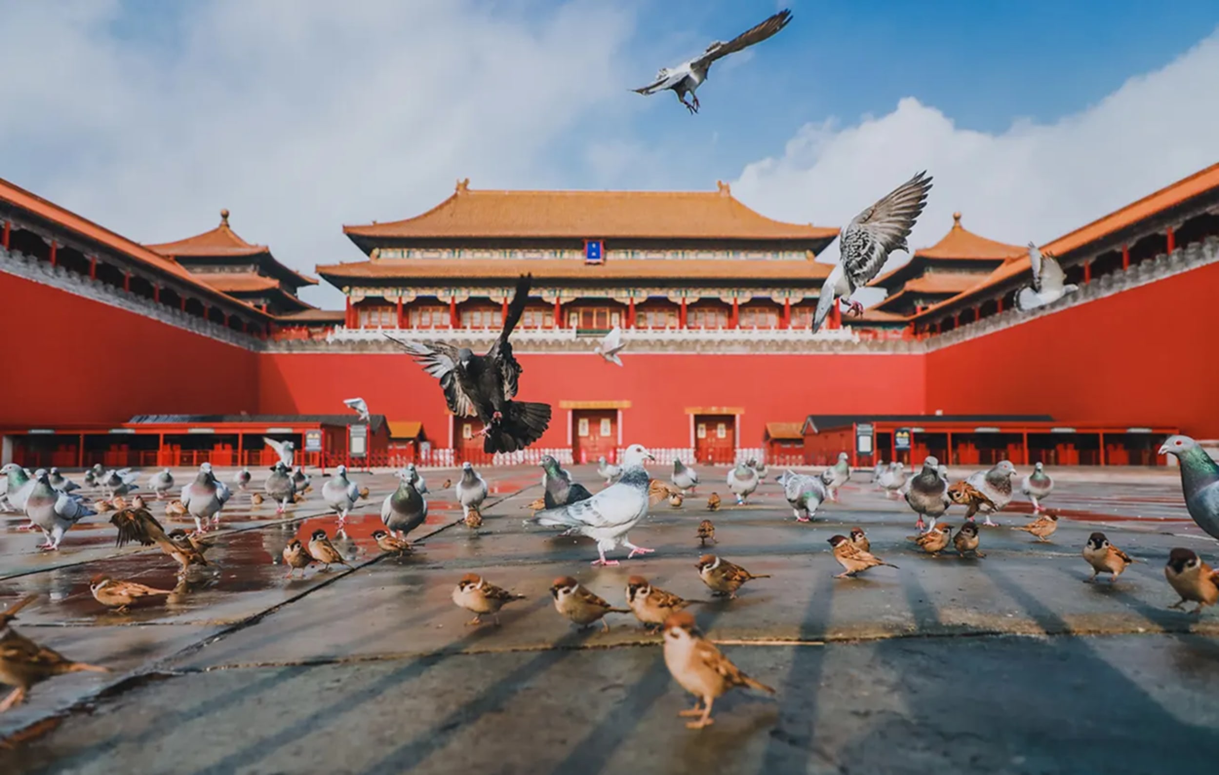 故宮，又稱紫禁城，位於北京中軸線的中心，佔地面積約72萬平方米，建築面積約15萬平方米，有大小宮殿七十多座，房屋九千餘間