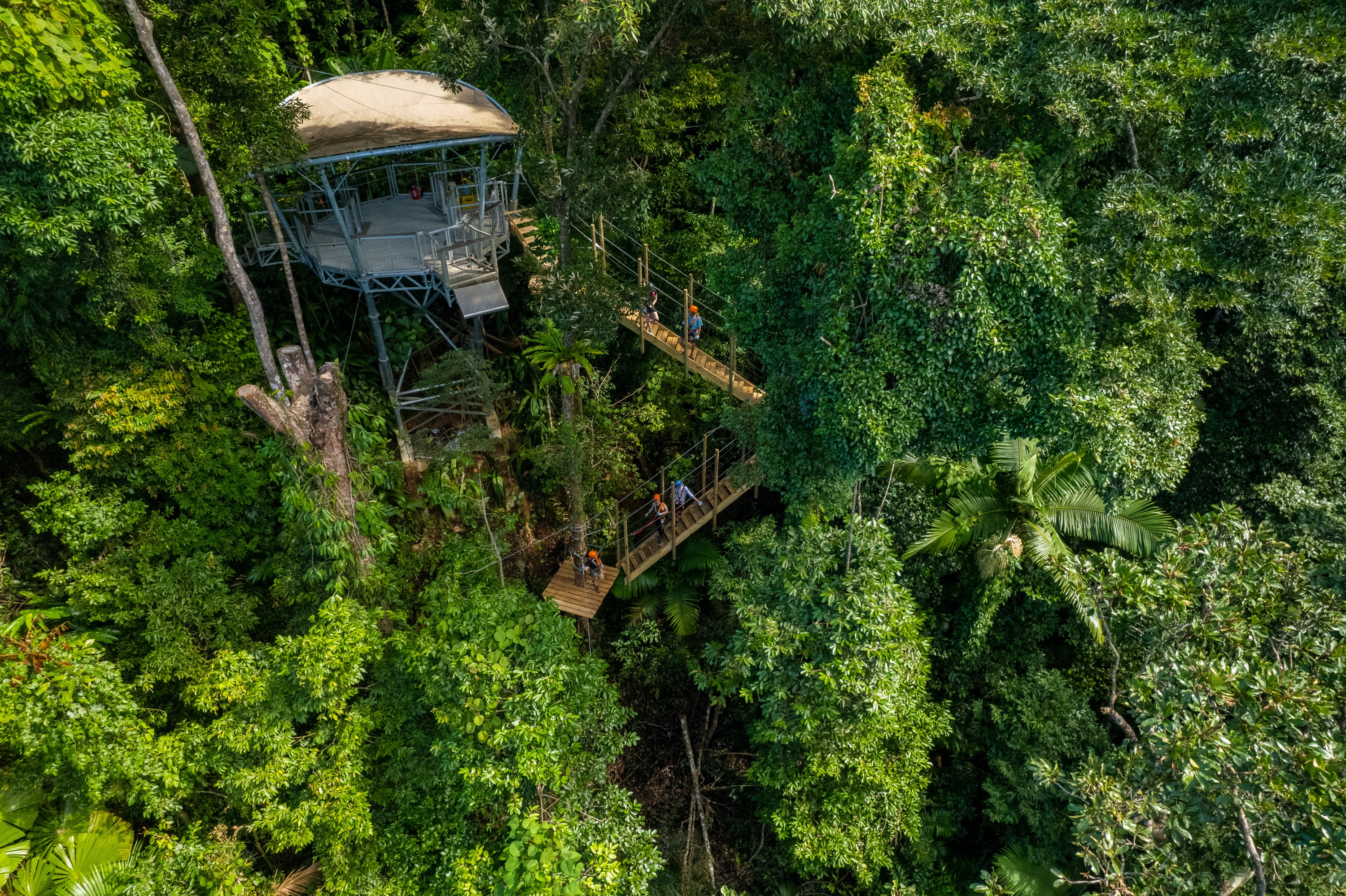 Glide through the treetops on a family-friendly zipline adventure for all ages
