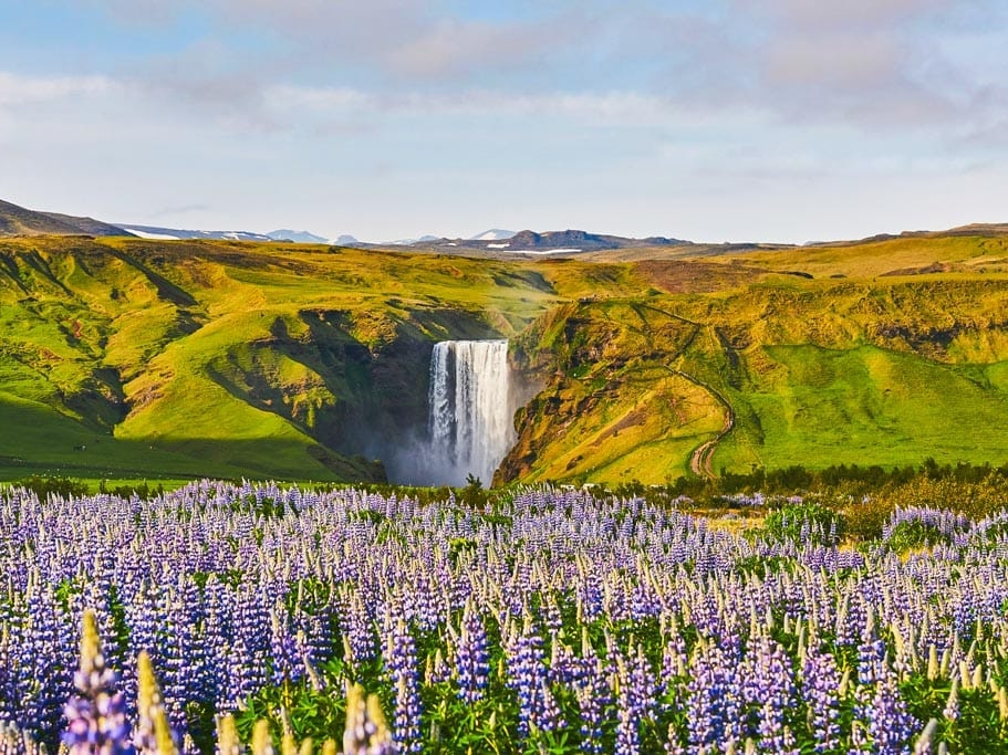 讓您沉浸在冰島南岸的壯麗景色中，享受令人屏息的駕駛體驗