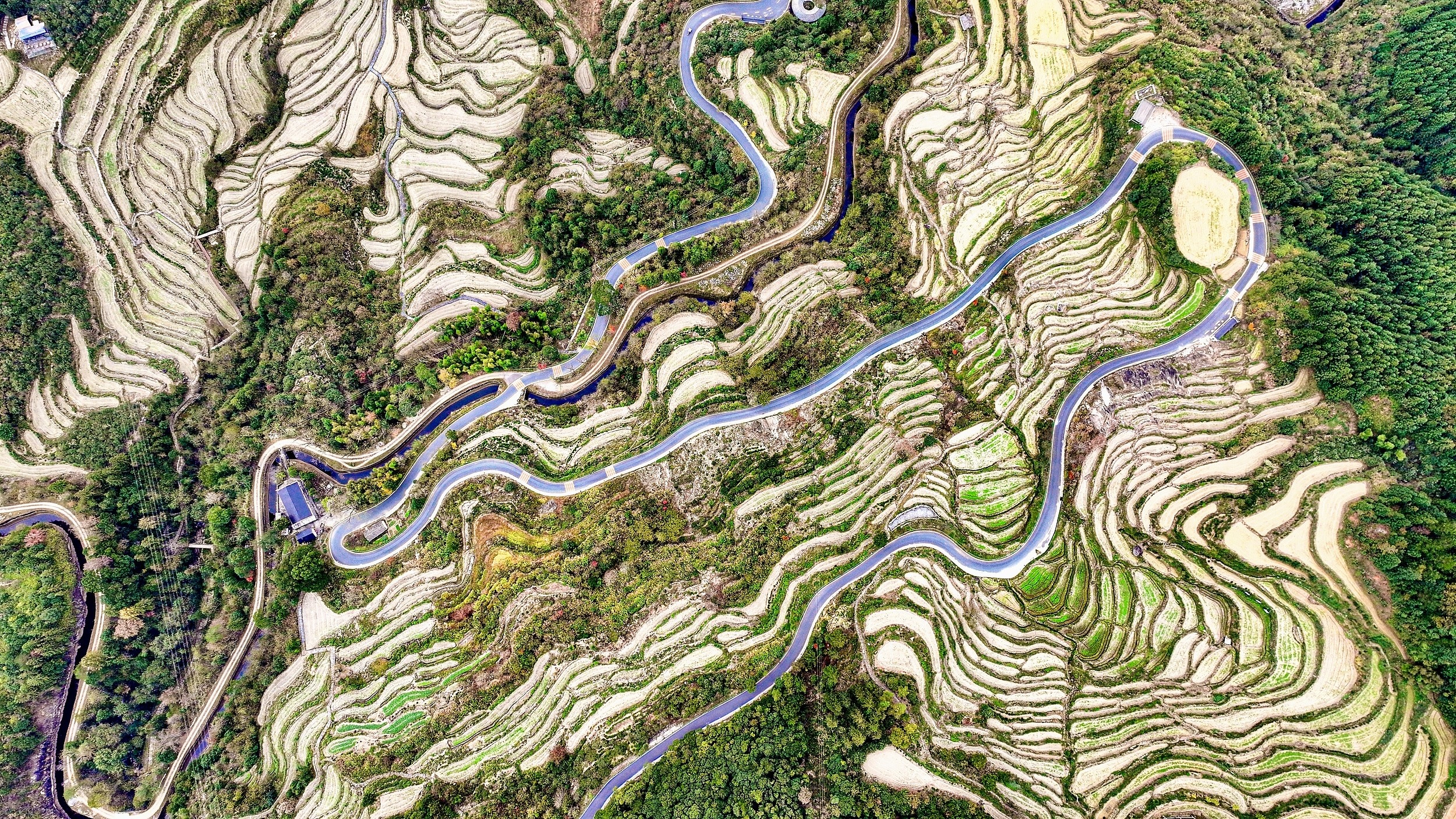 江嶺：是中國四大油菜花海之一，梯田花海與徽派民居相映成趣。