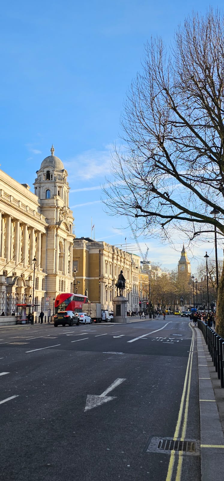 London: Buckingham Palace & Westminster Guided Walking Tour