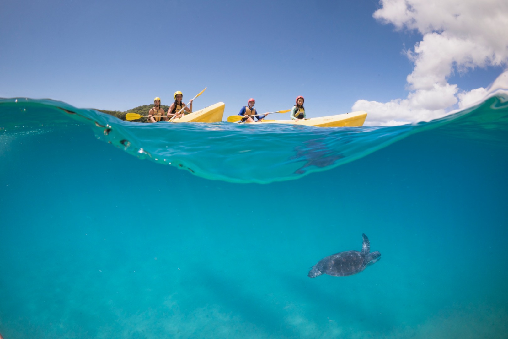 Dolphin and Kayaking Tour in Byron Bay 